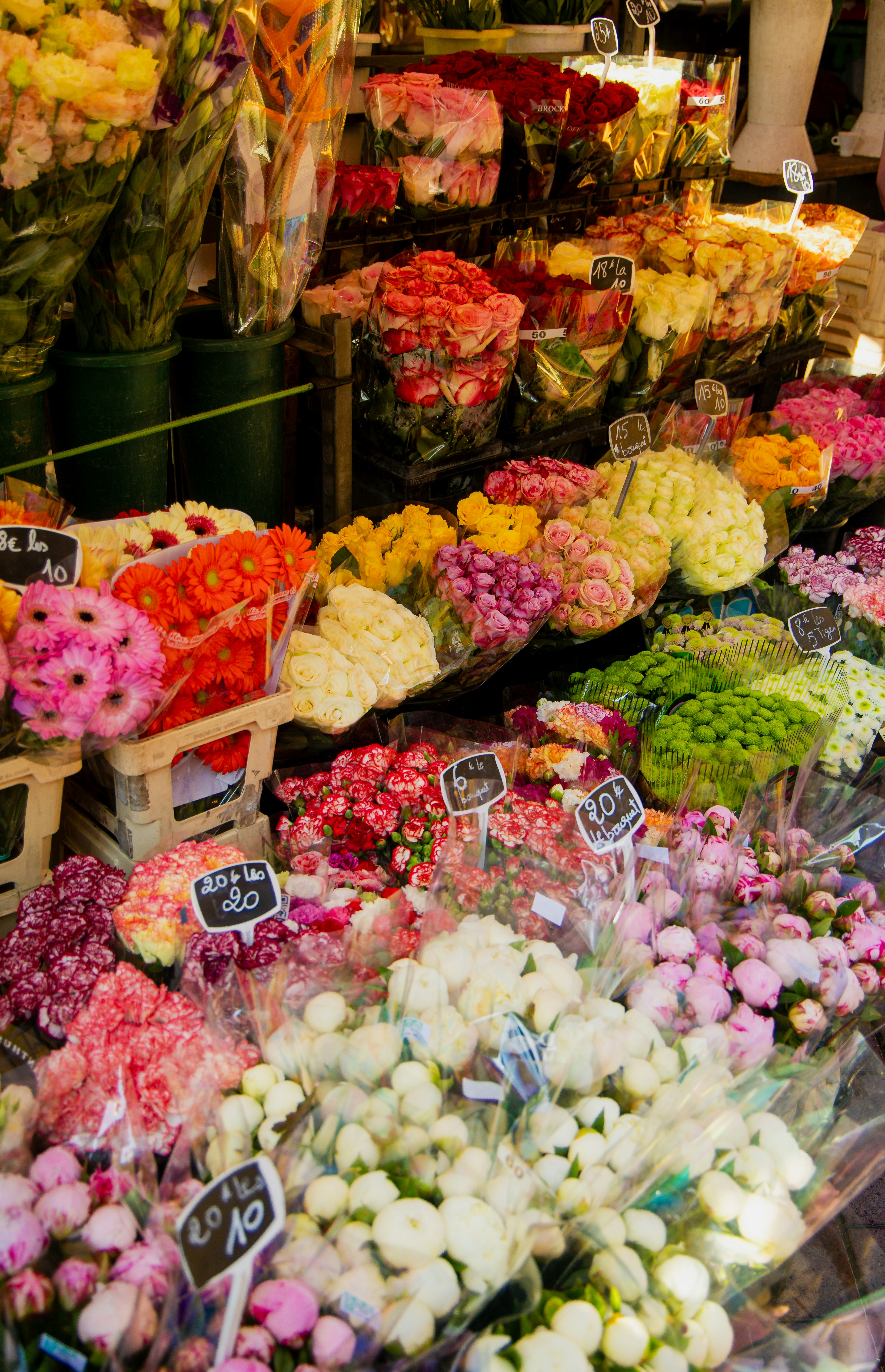 Photo by kanderphoto