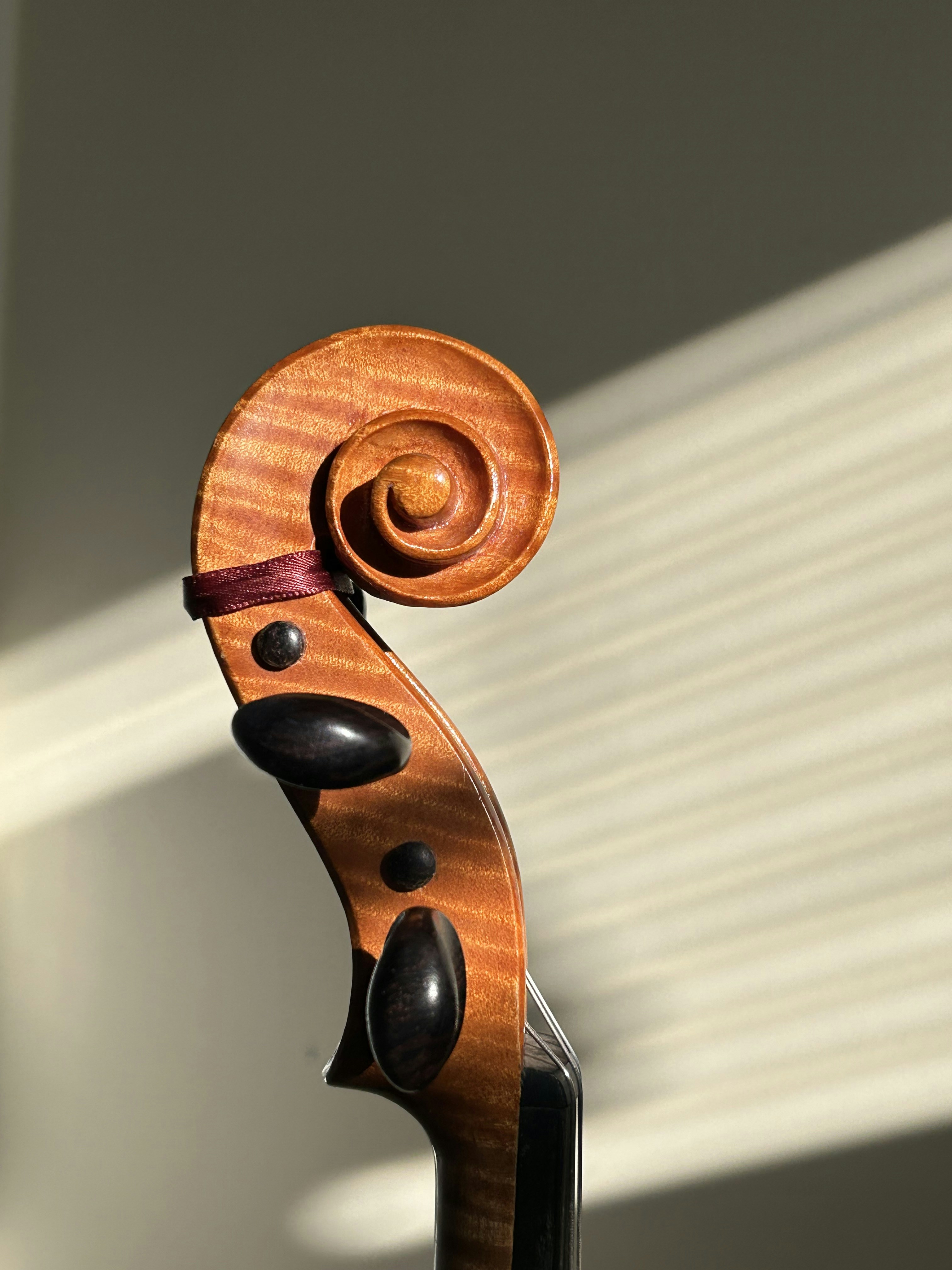 A close up of a violin on a table
