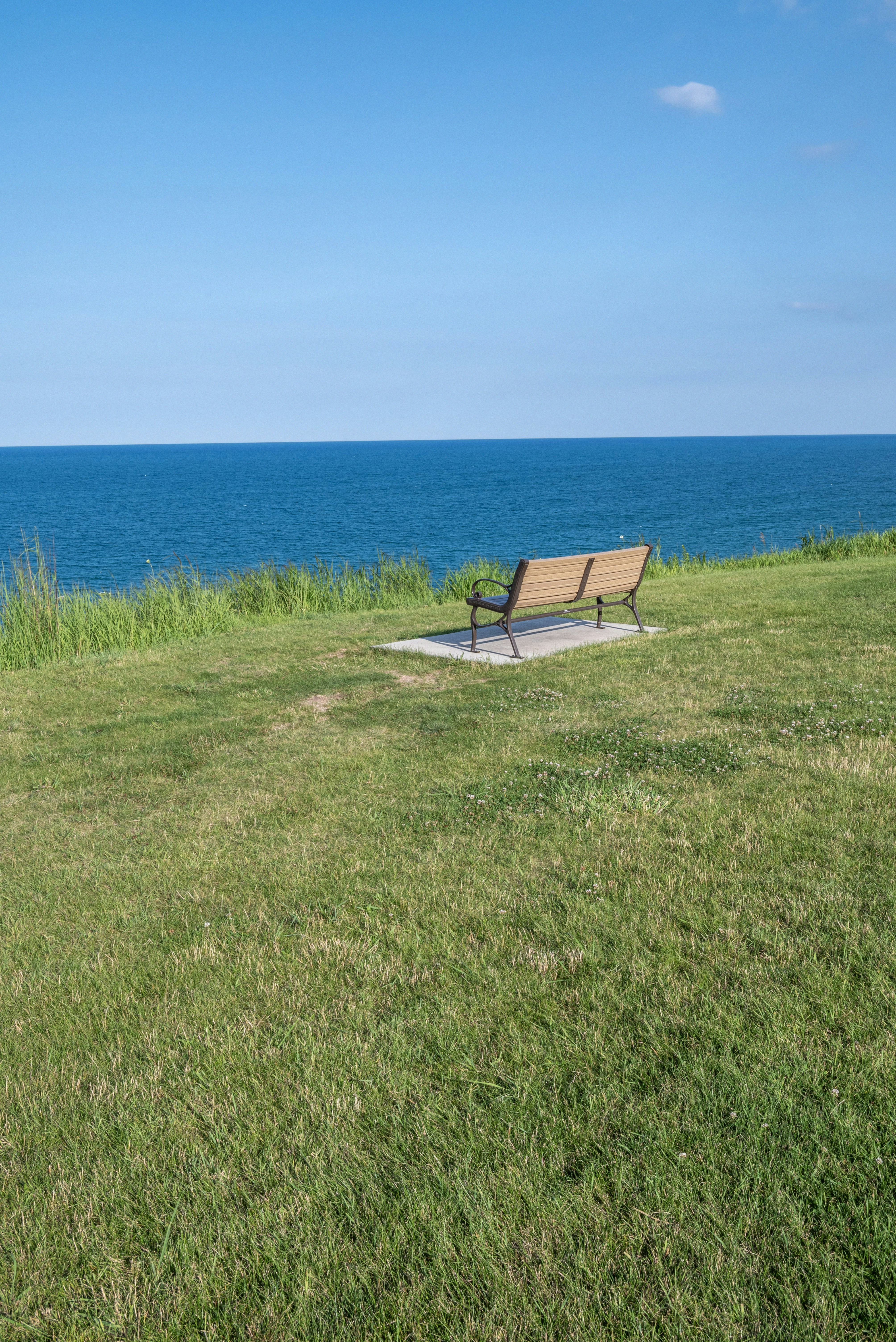 Un banco sentado en lo alto de un exuberante campo verde