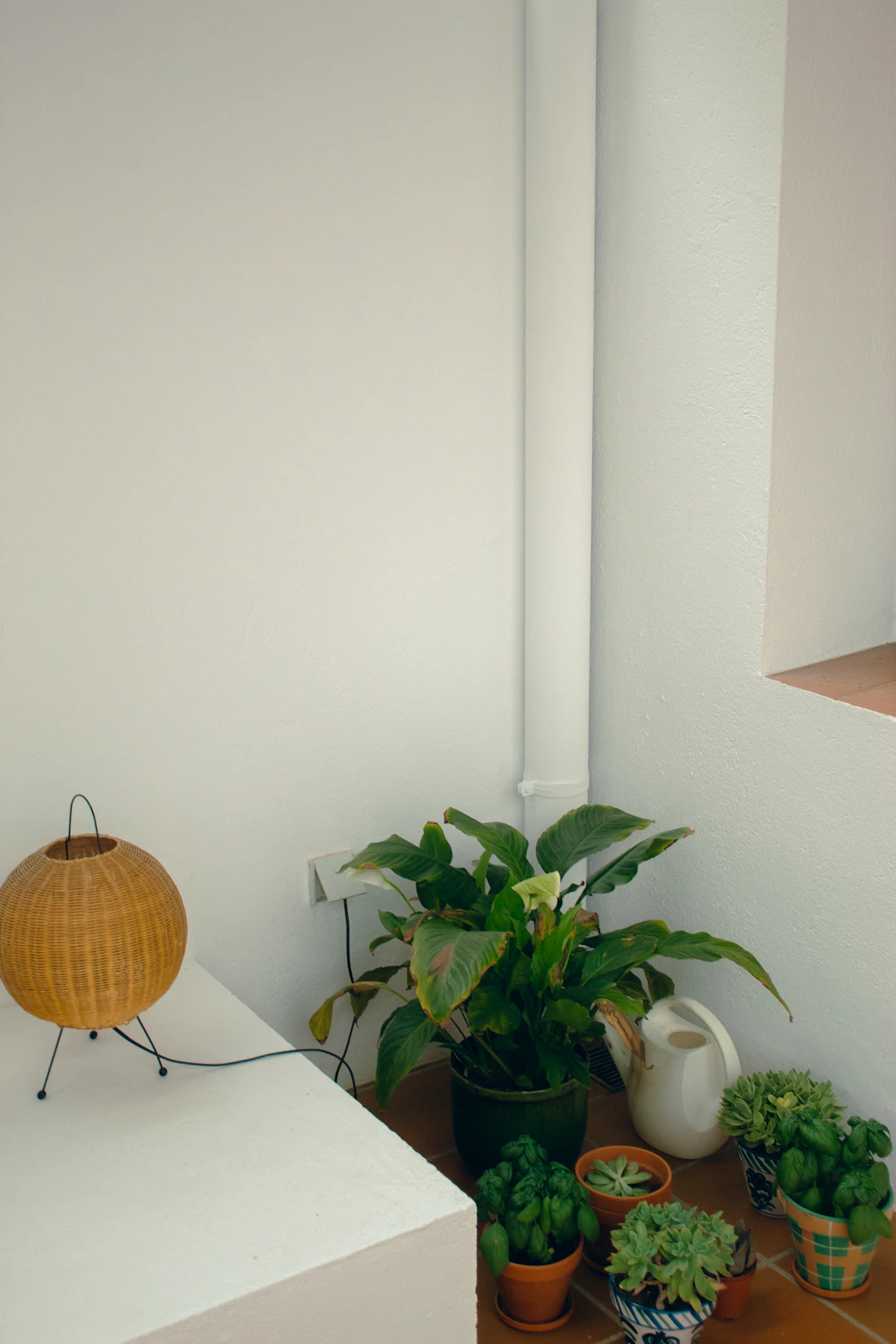 A minimal white corner with a paper lantern and potted plants