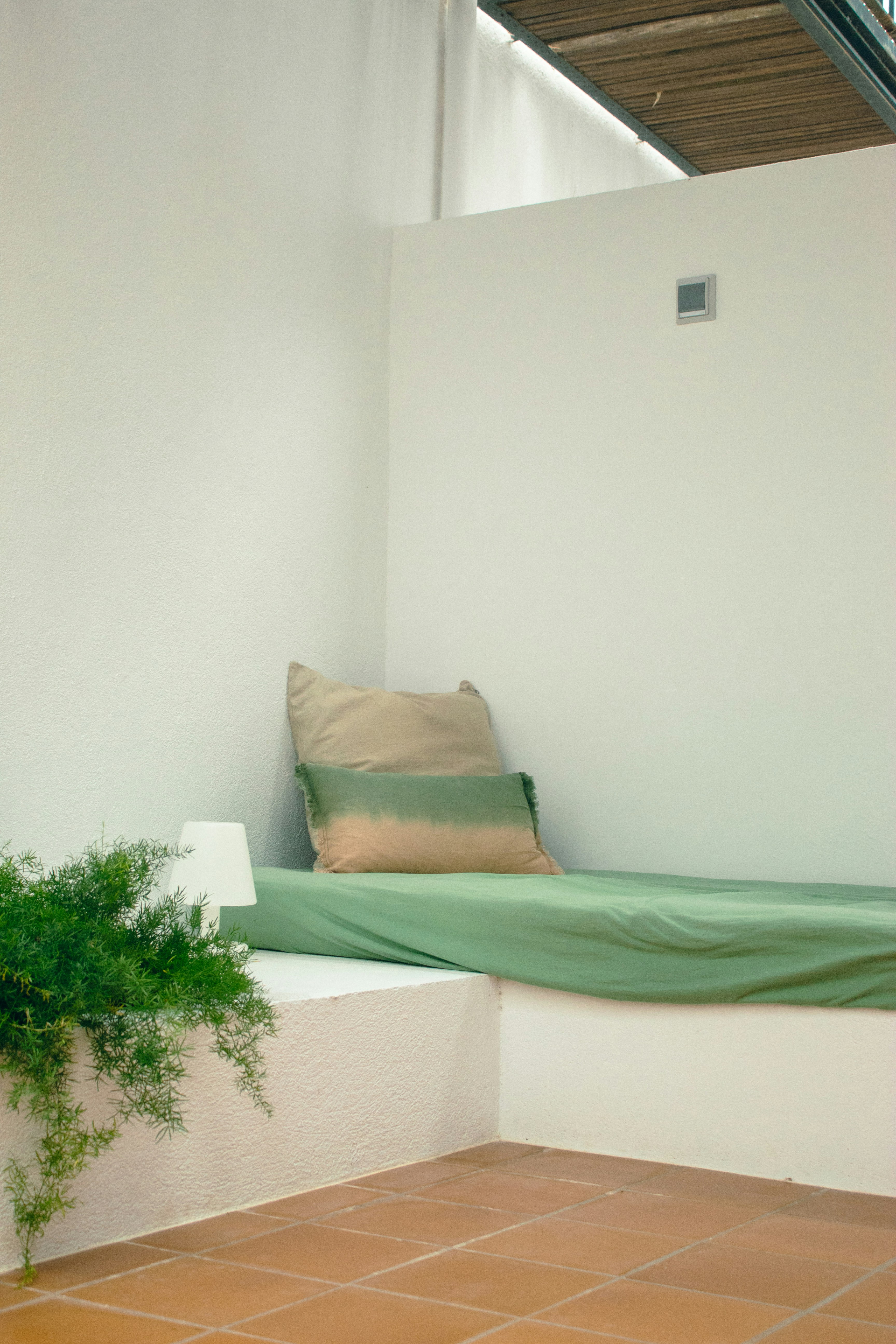 A room with a bed and a plant in it