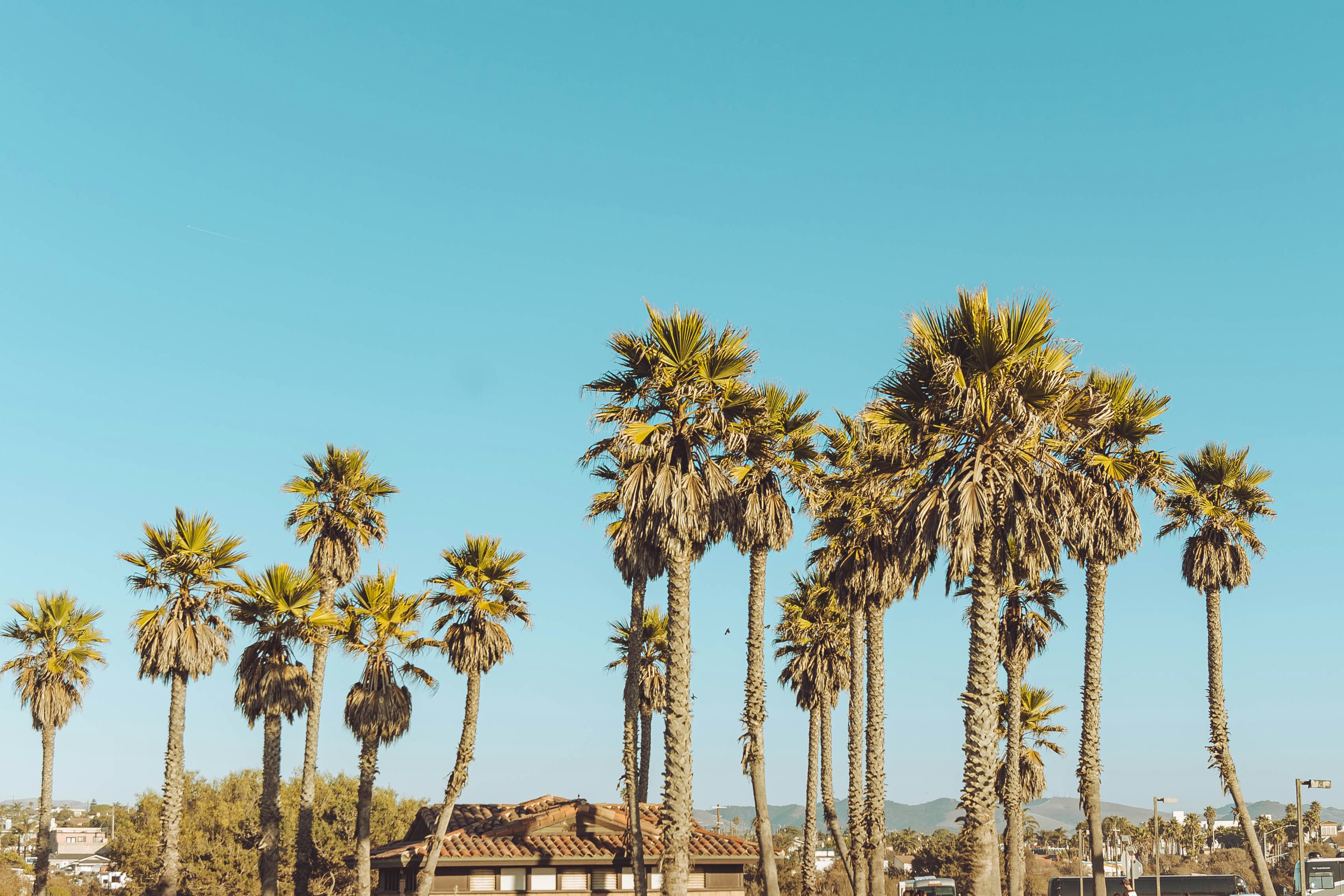 SMX destination photo