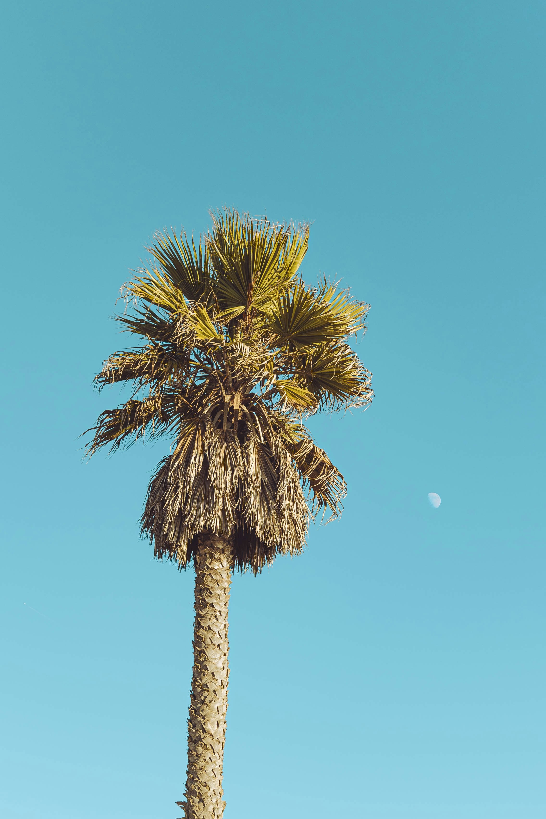 Santa Maria – Final Summary