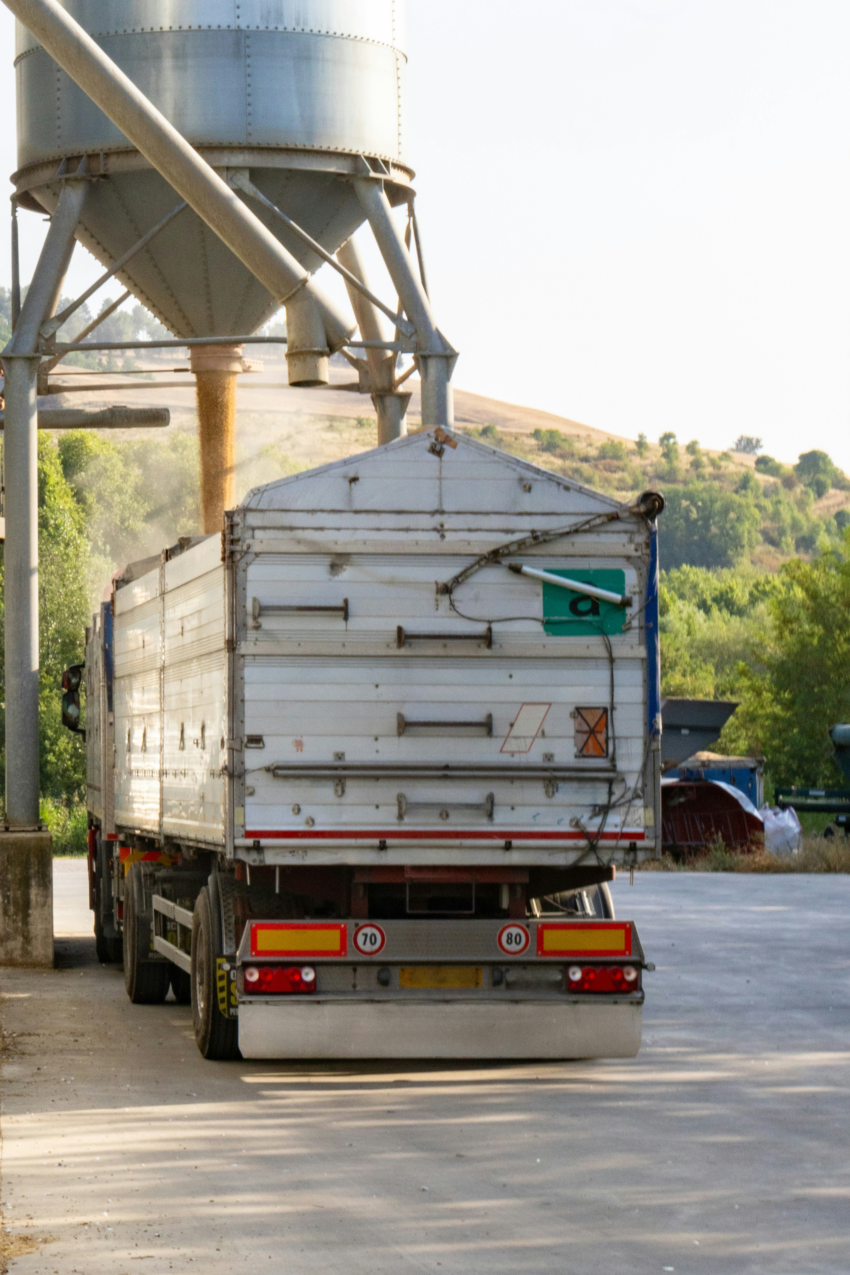 Photo by beingorganicineu