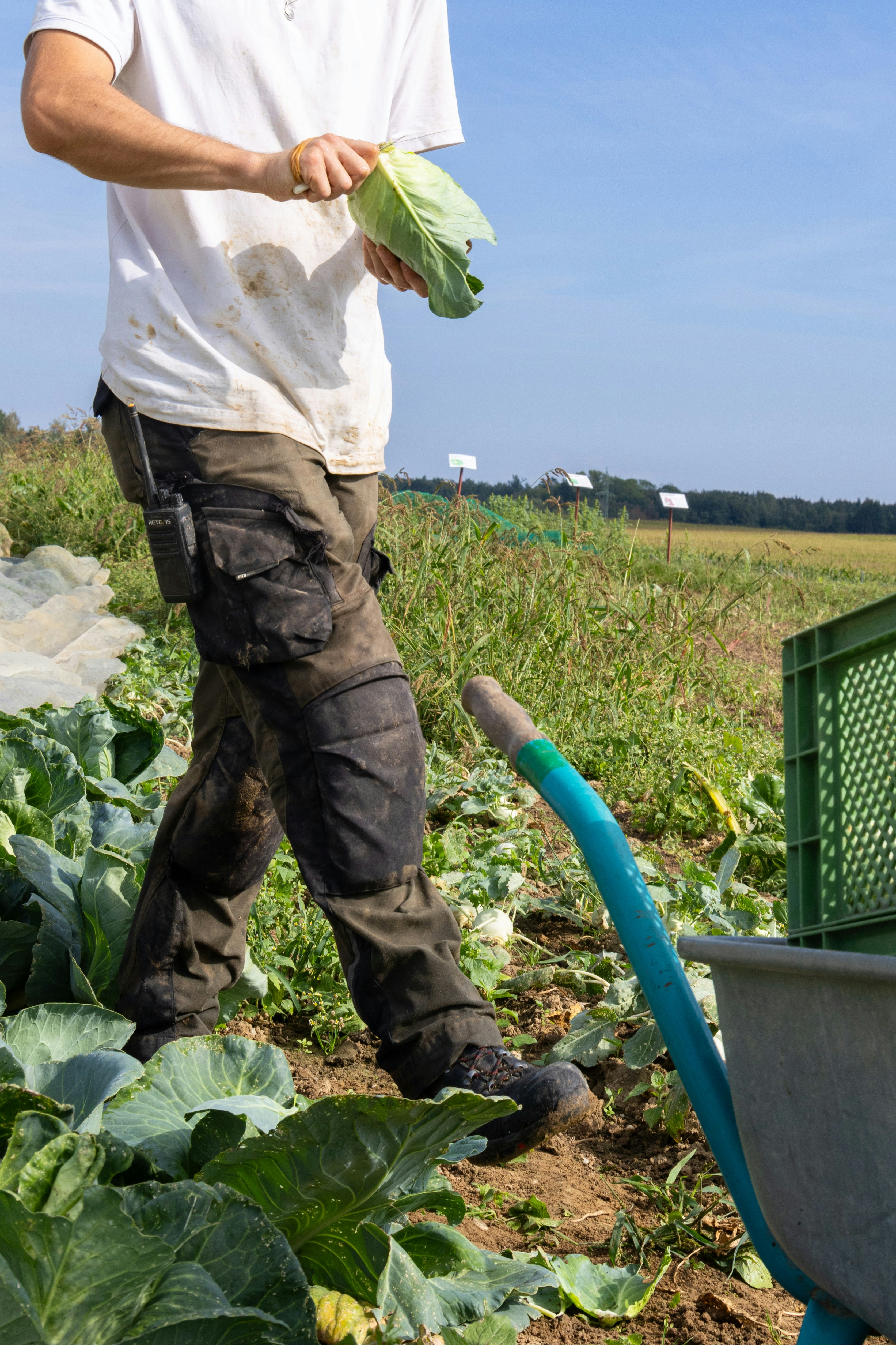 Photo by beingorganicineu