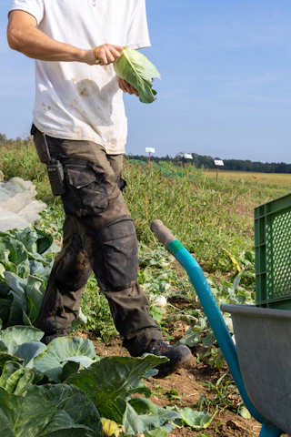 A man standing next to a wheelbarrow in a field