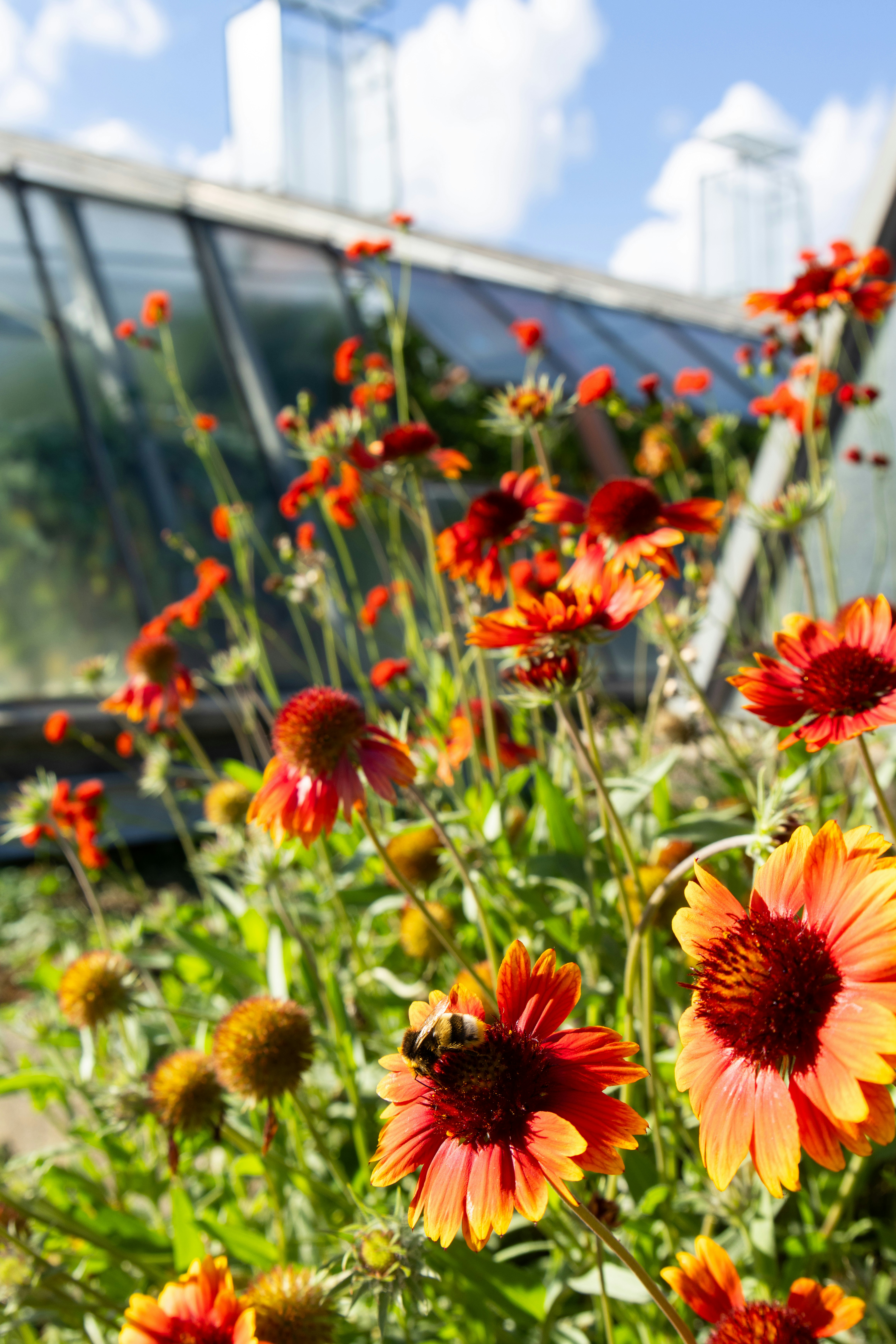 Photo by beingorganicineu