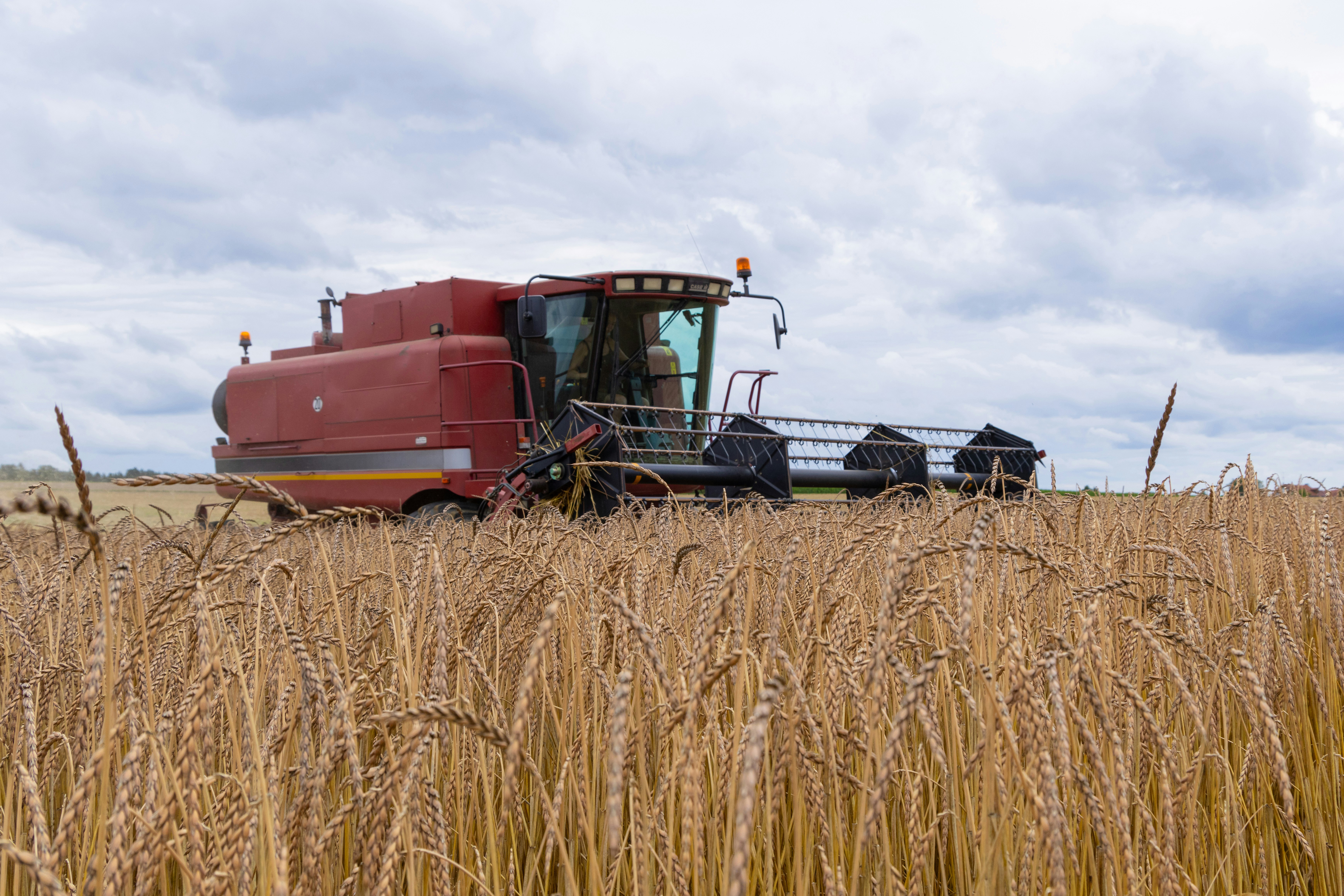 Photo by beingorganicineu