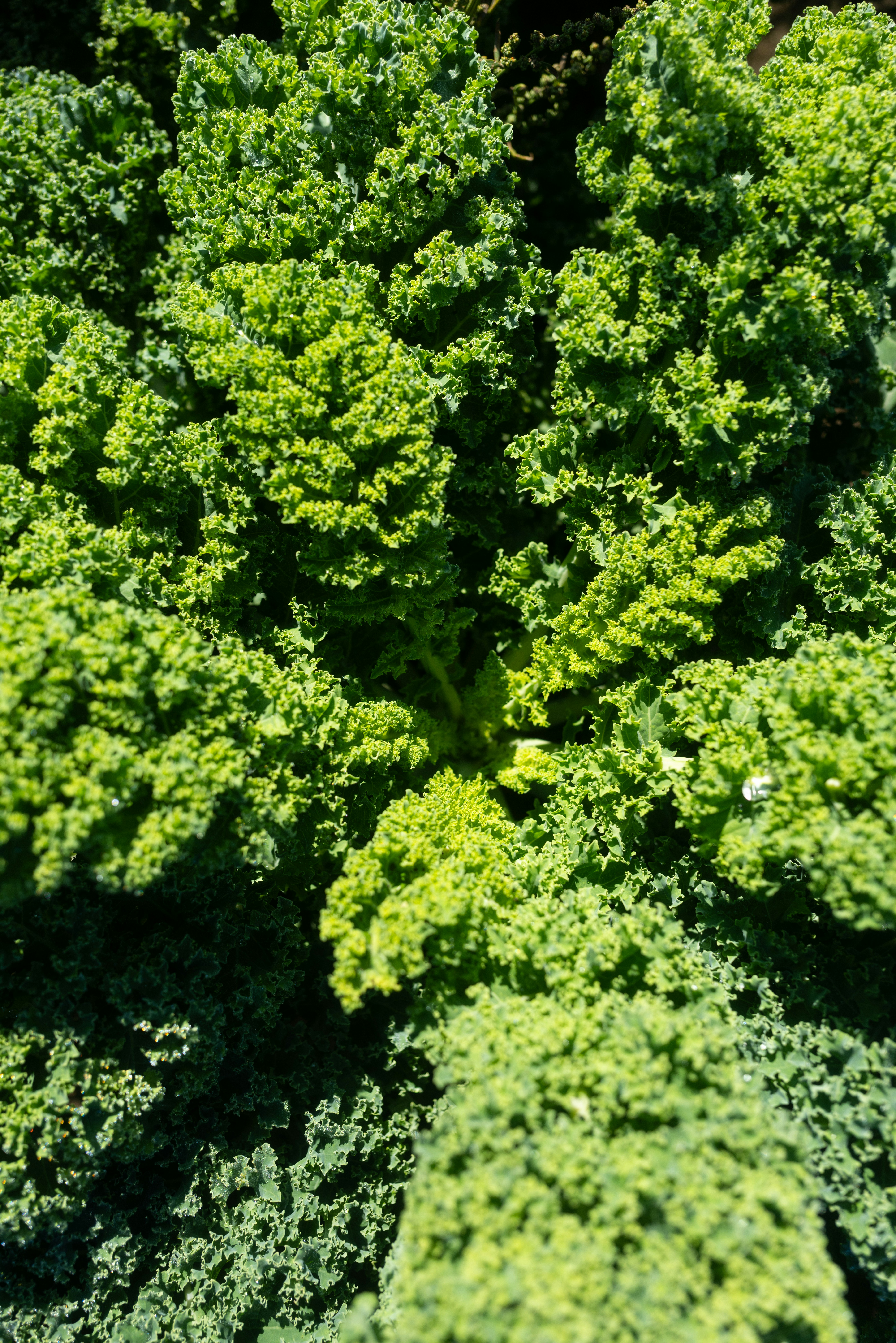 Background image for slide 1