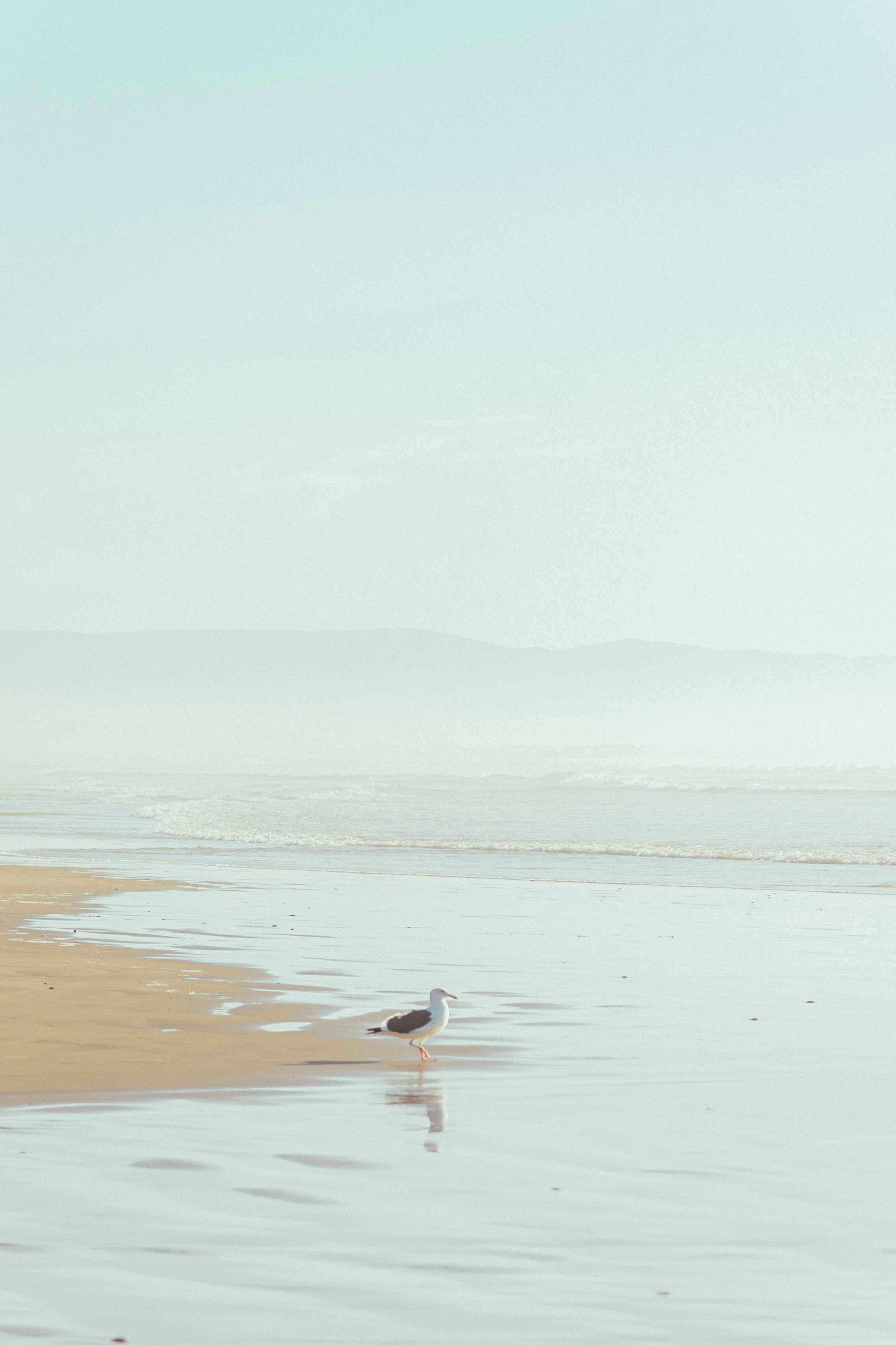 Photo by amanda_2703