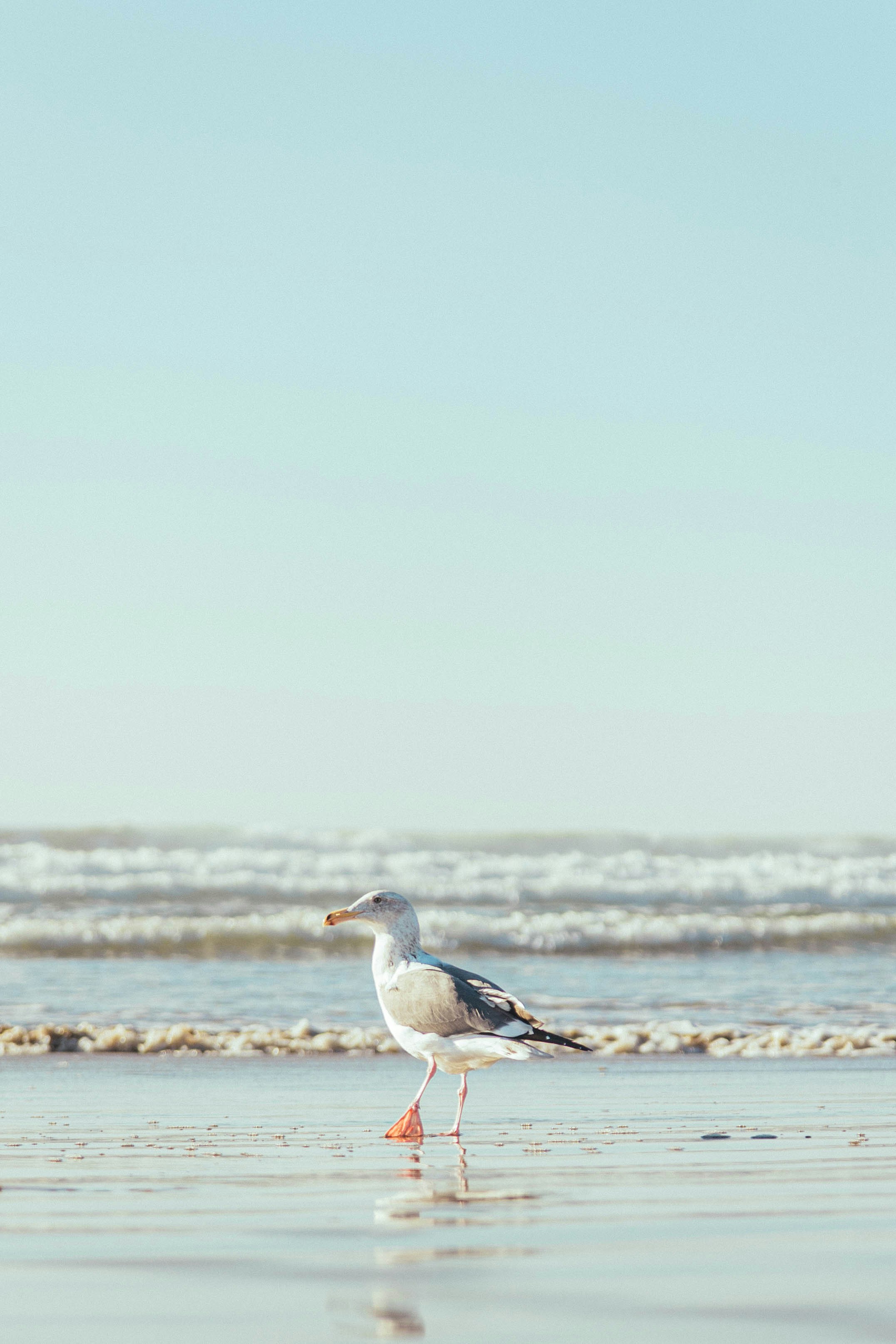 Photo by amanda_2703