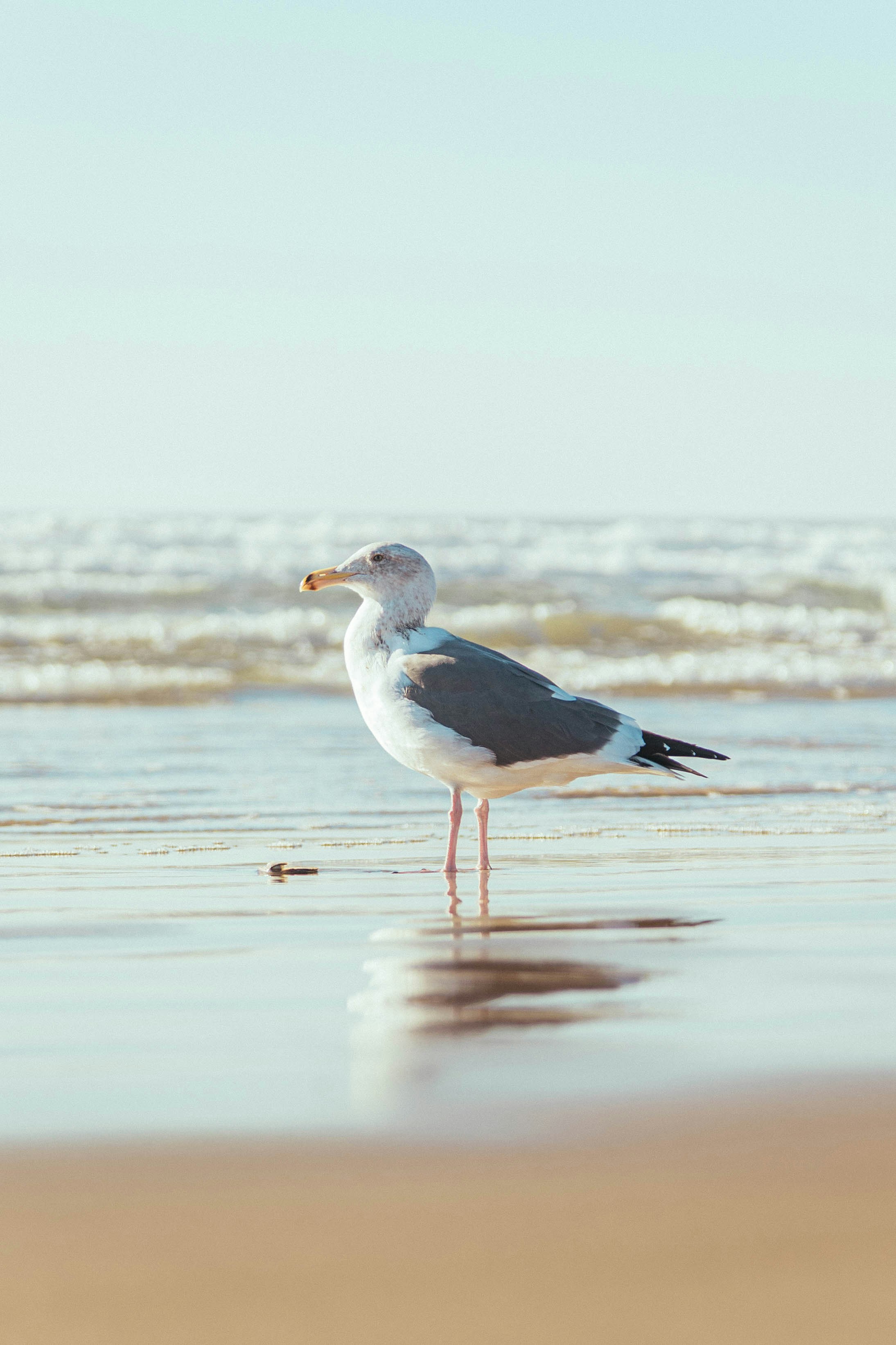 Photo by amanda_2703