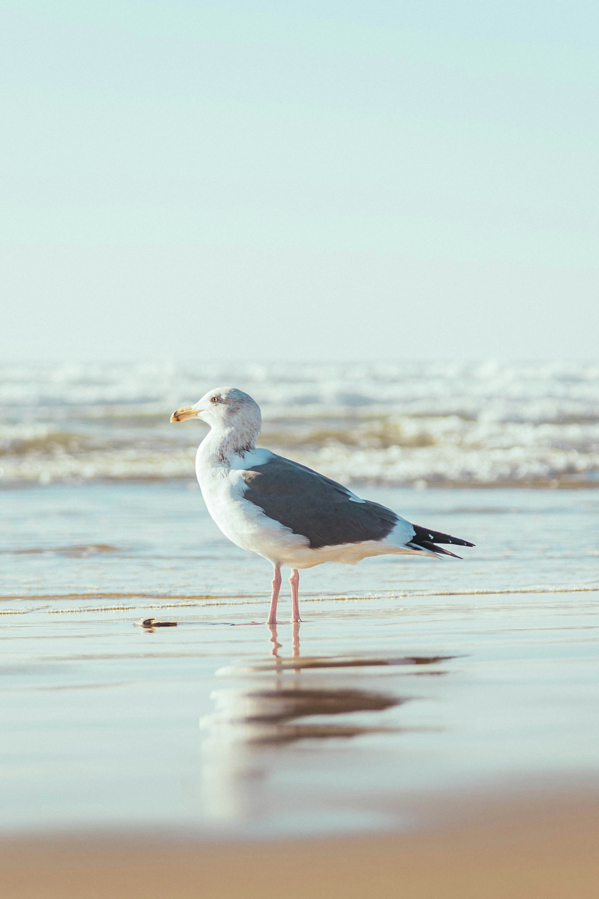 Photo by amanda_2703