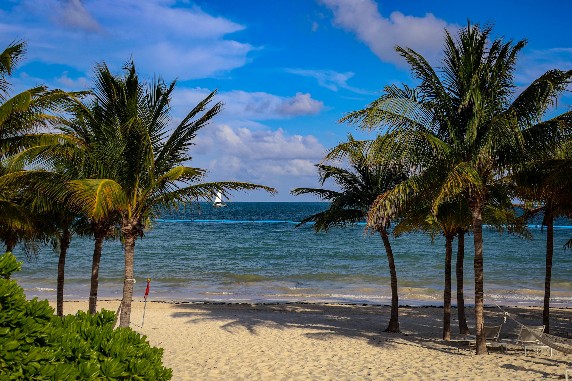A beach with palm trees and a sailboat in the distance