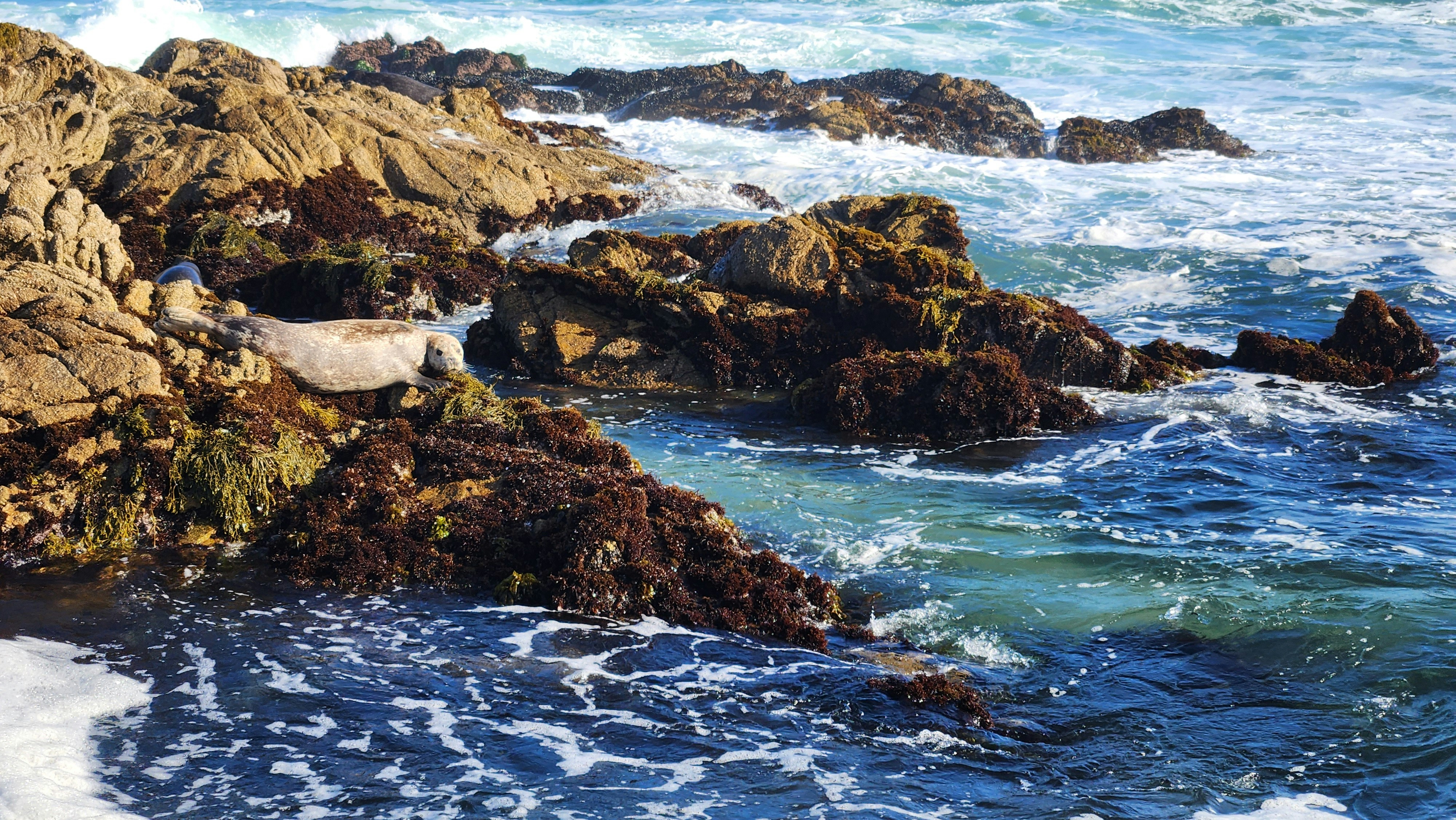 Photo by helvidiusiv