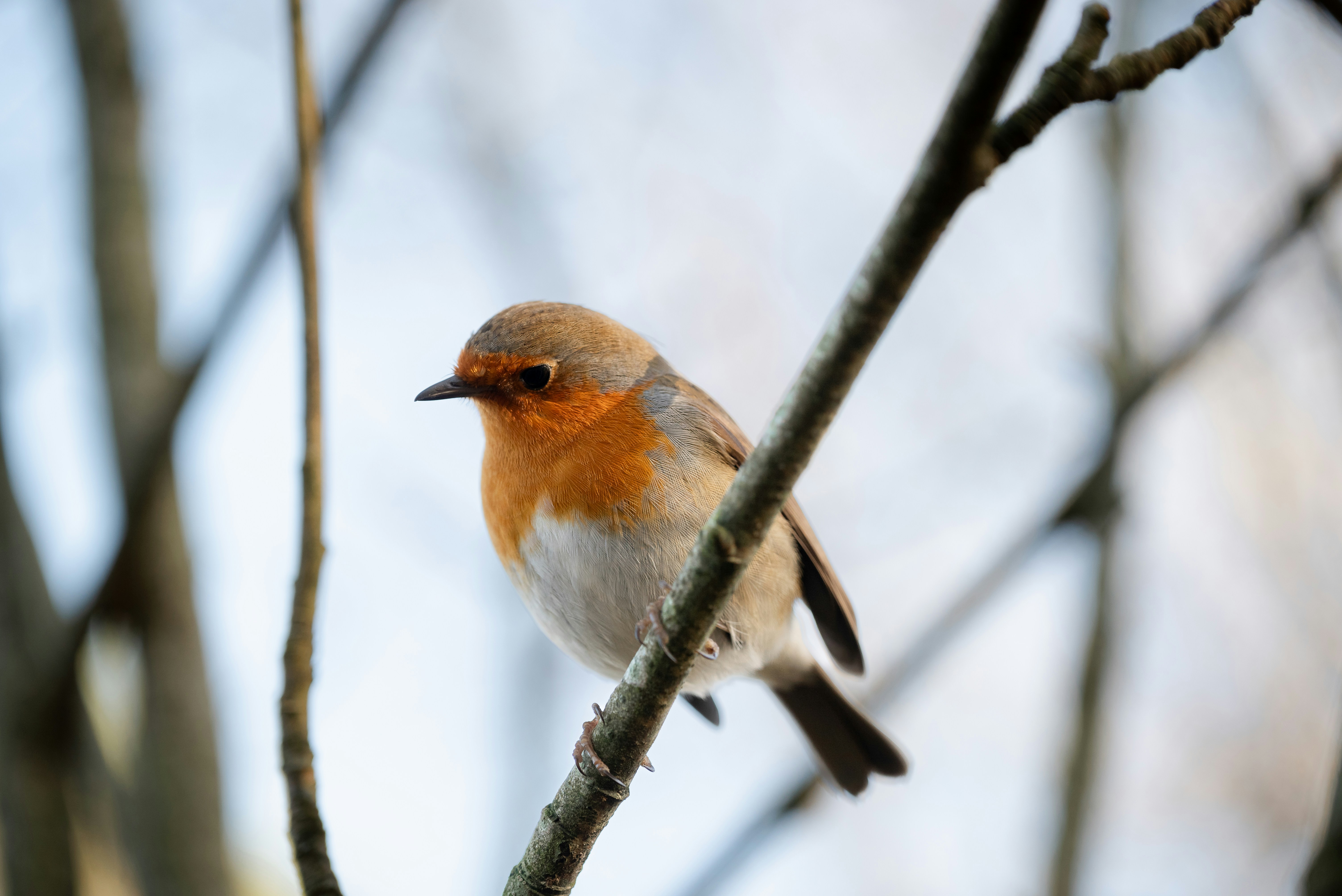 Photo by jetztabertempo