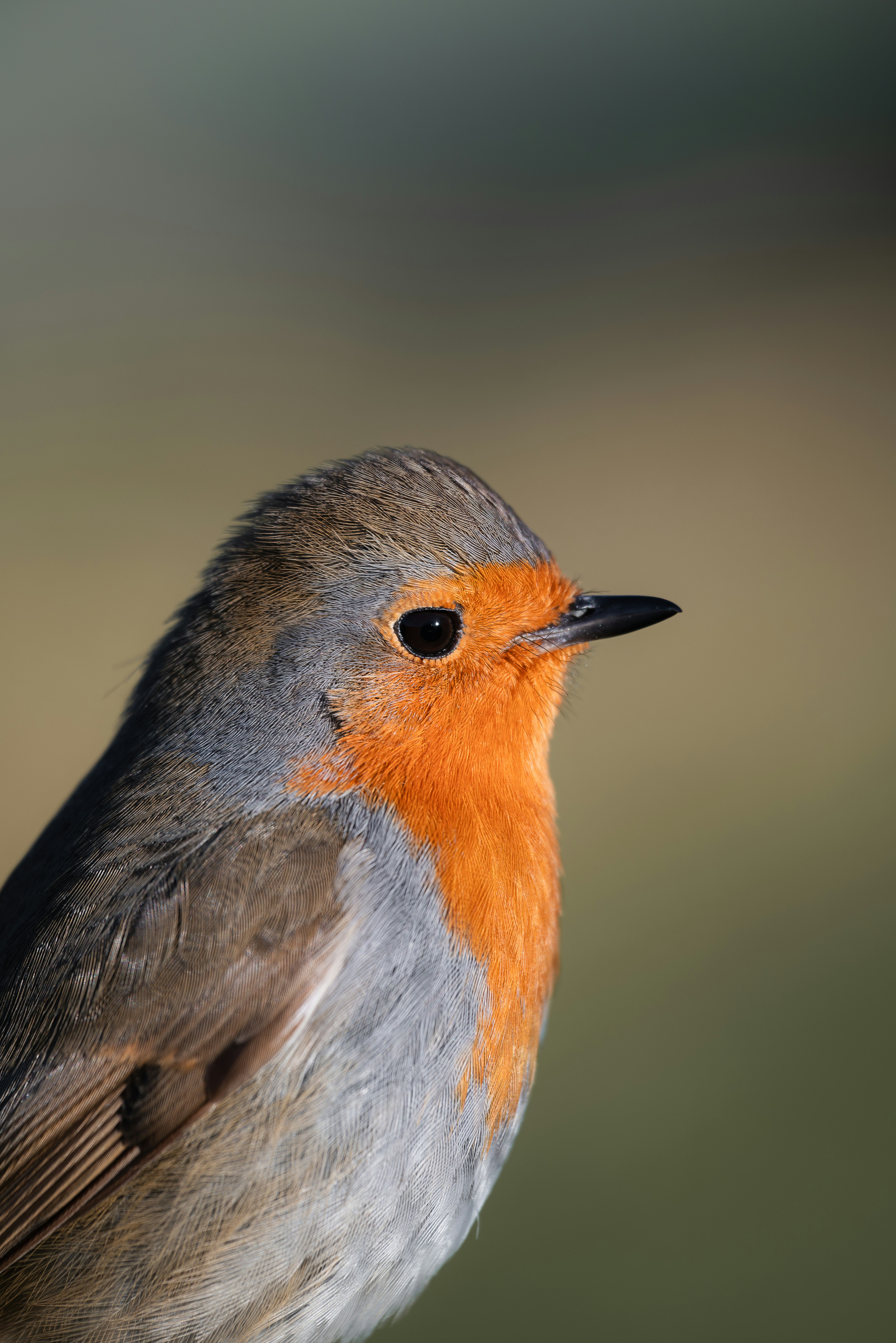 Photo by jetztabertempo