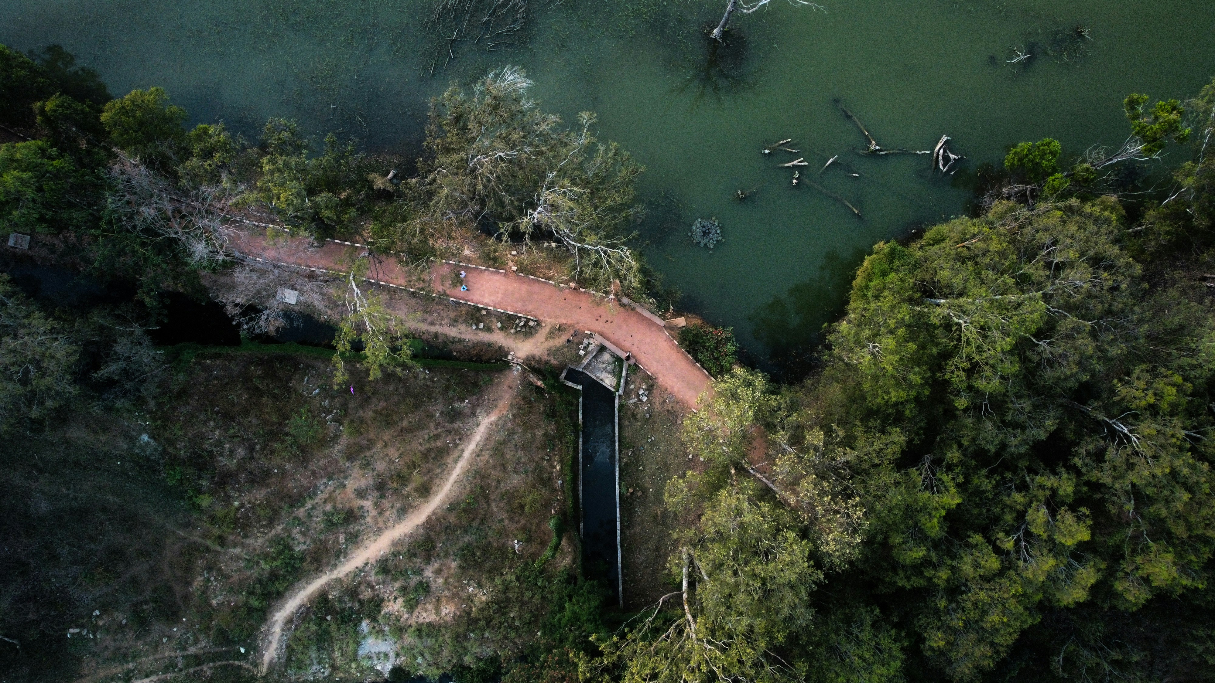 Photo by satchitsbphoto