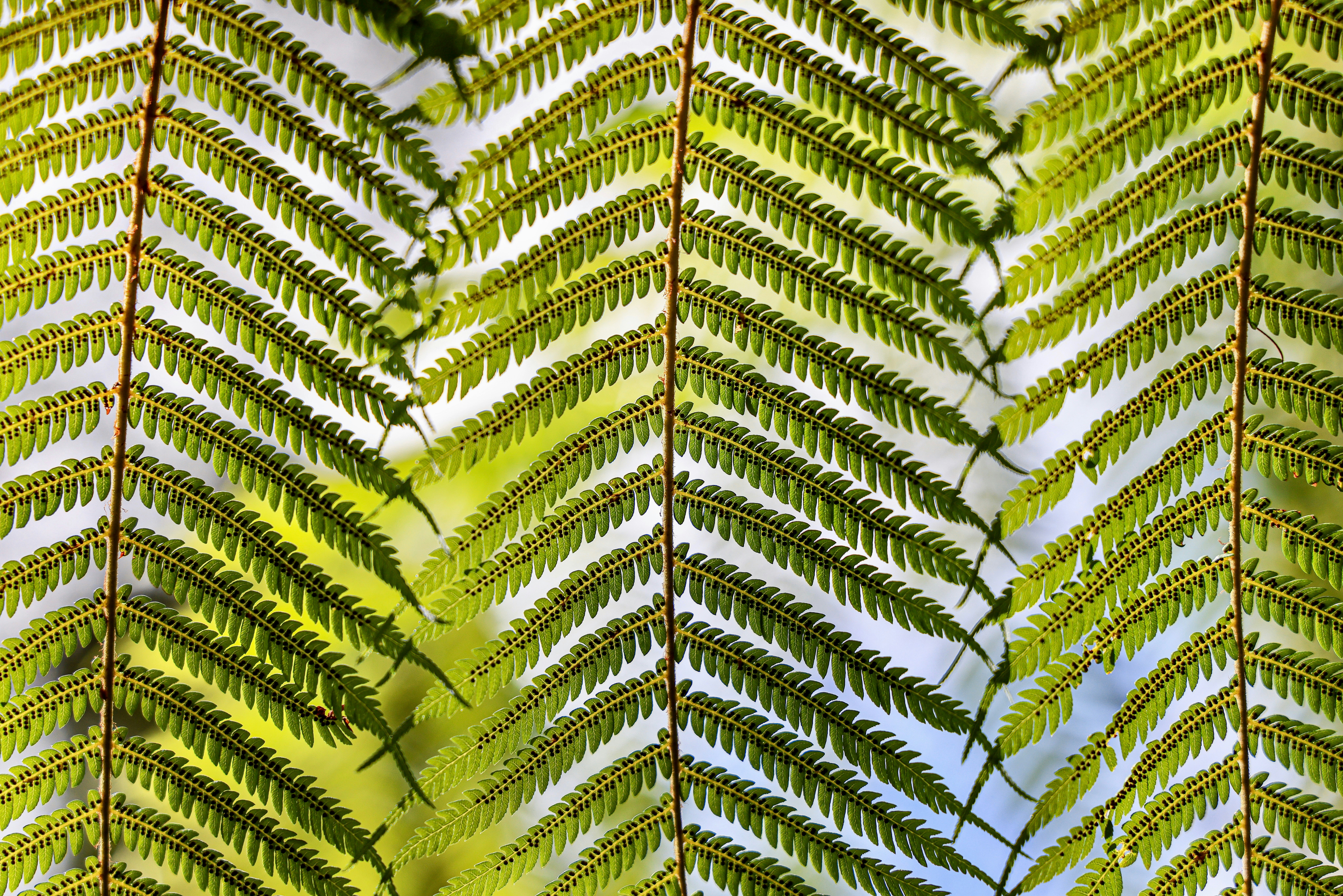 Photo by maximilian_brand