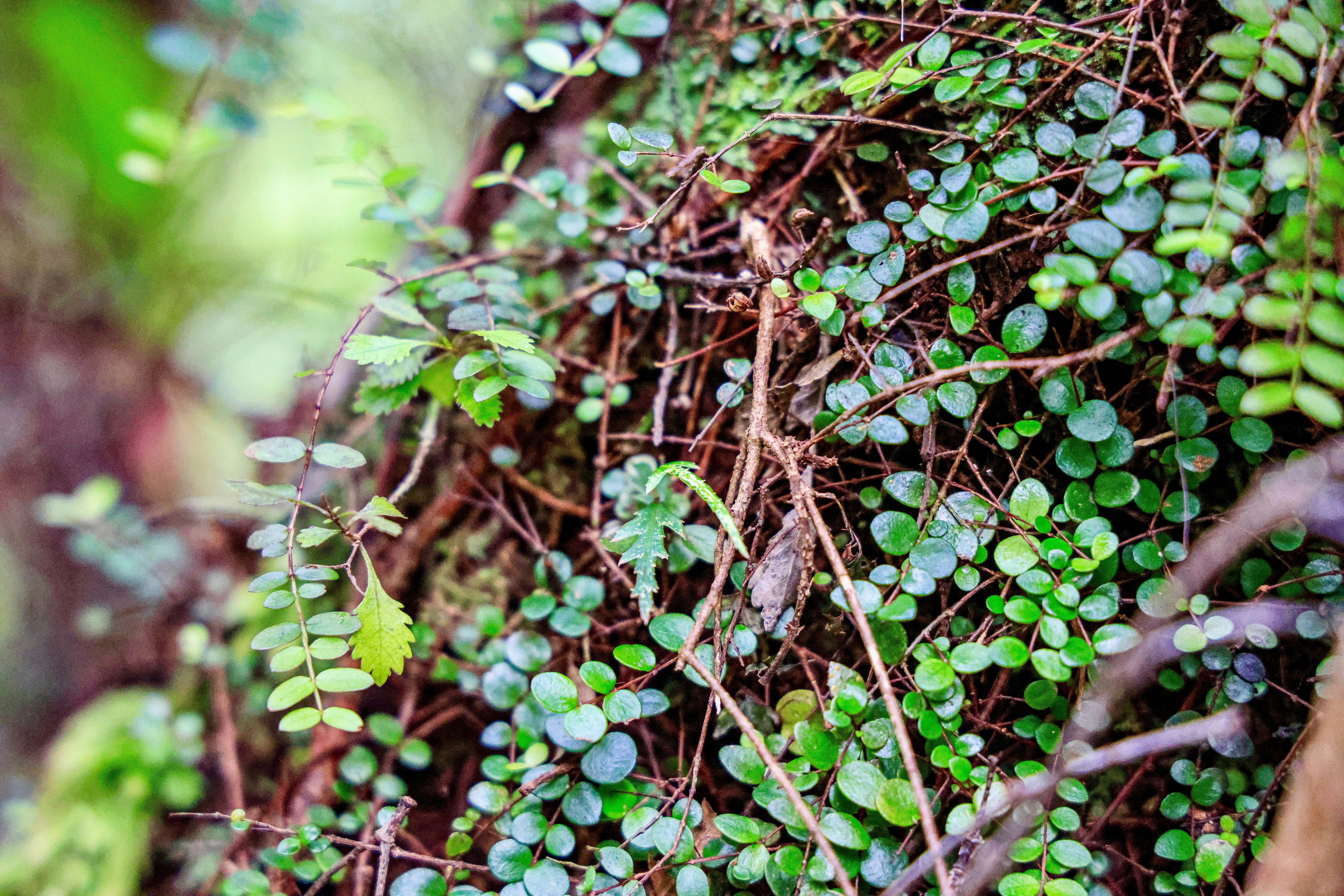 Photo by maximilian_brand