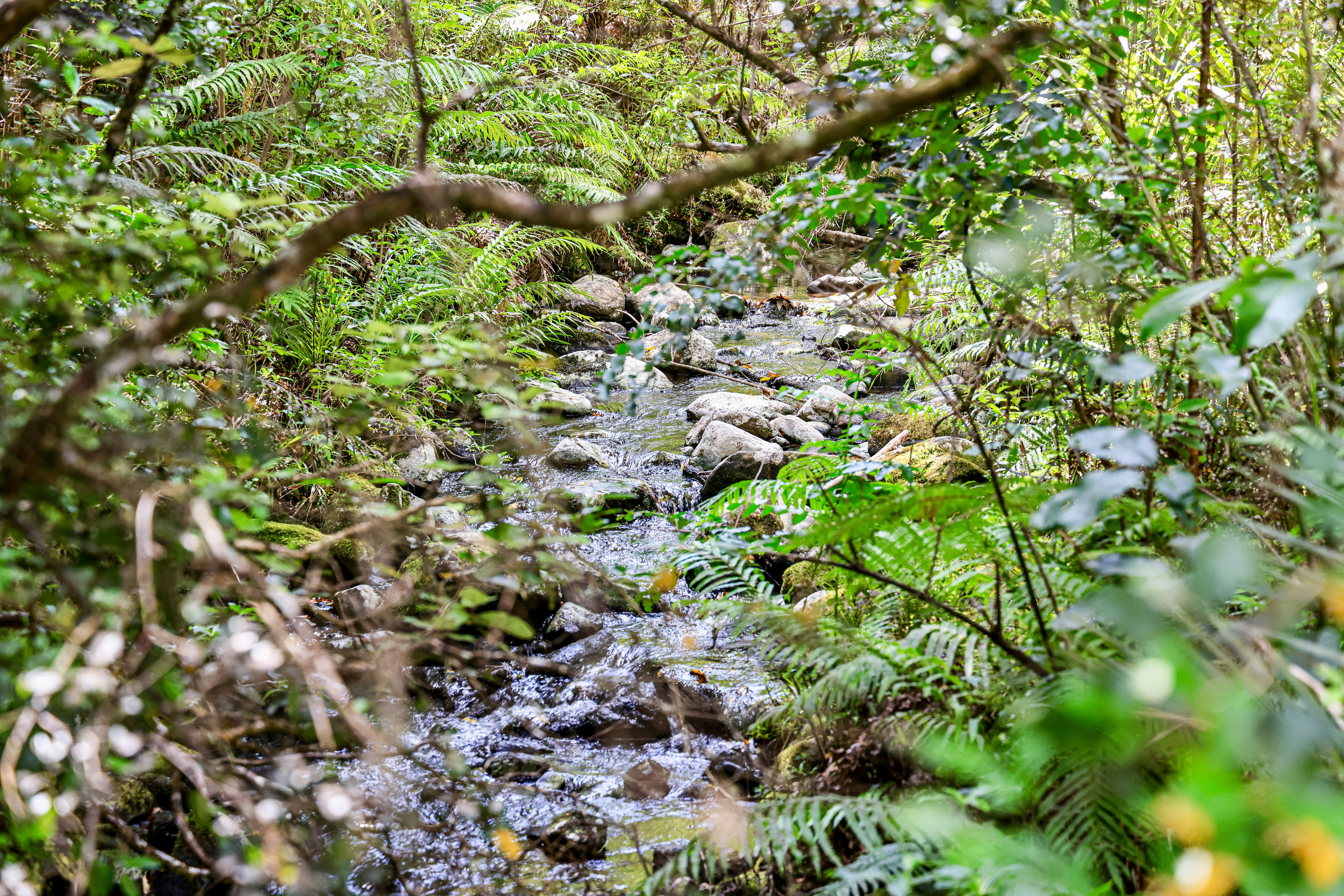 Photo by maximilian_brand