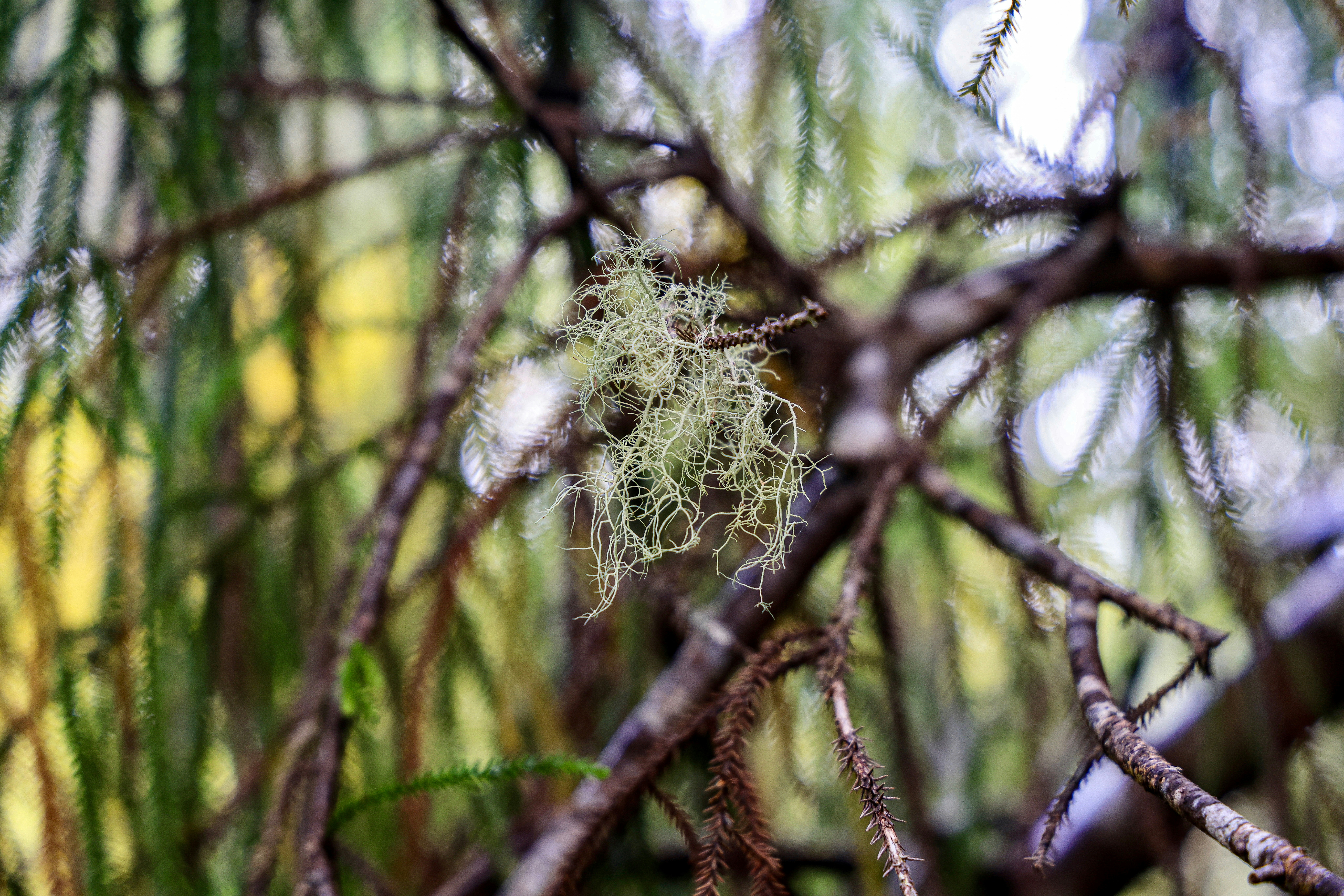 Photo by maximilian_brand