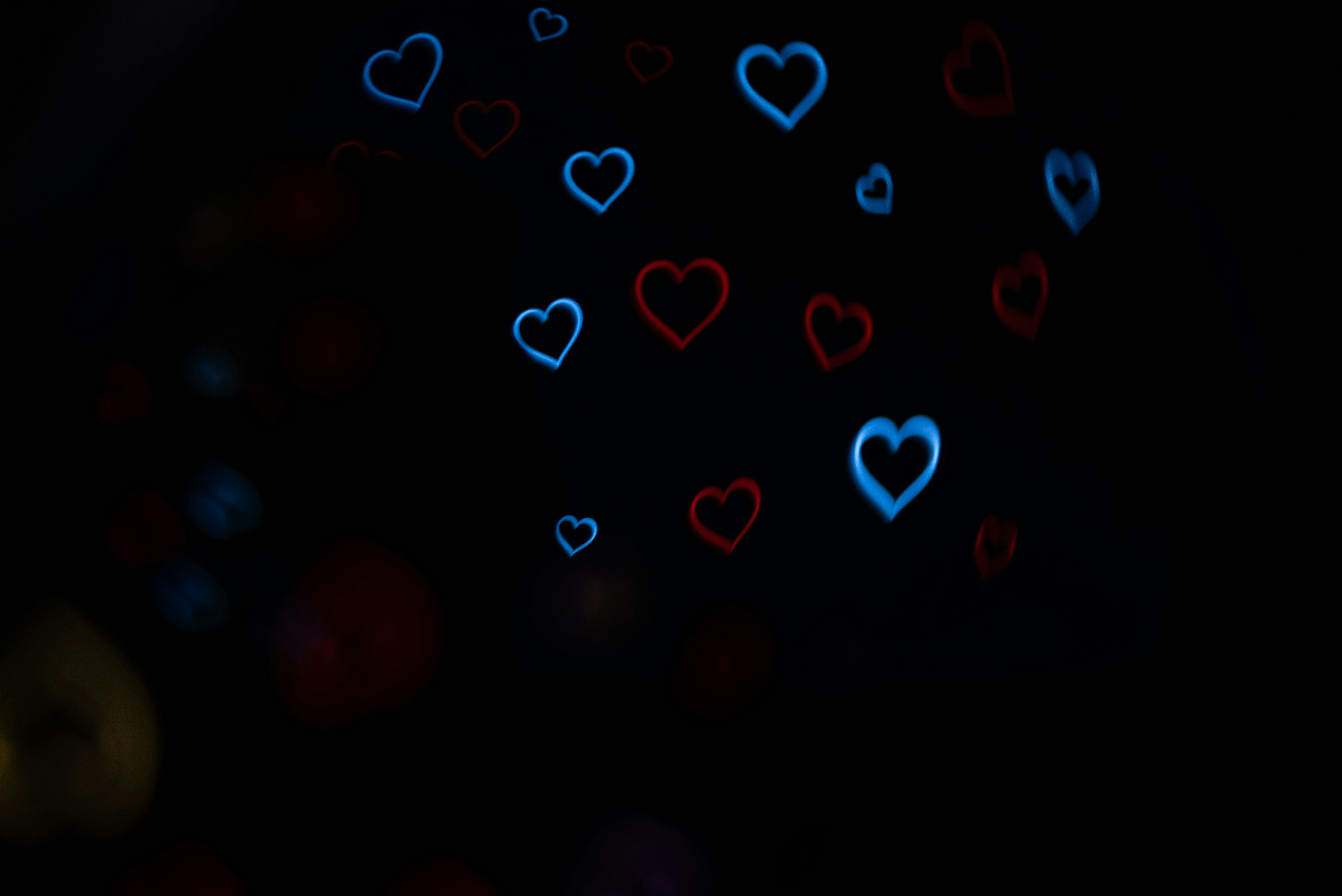 Photo by andrilliardbond