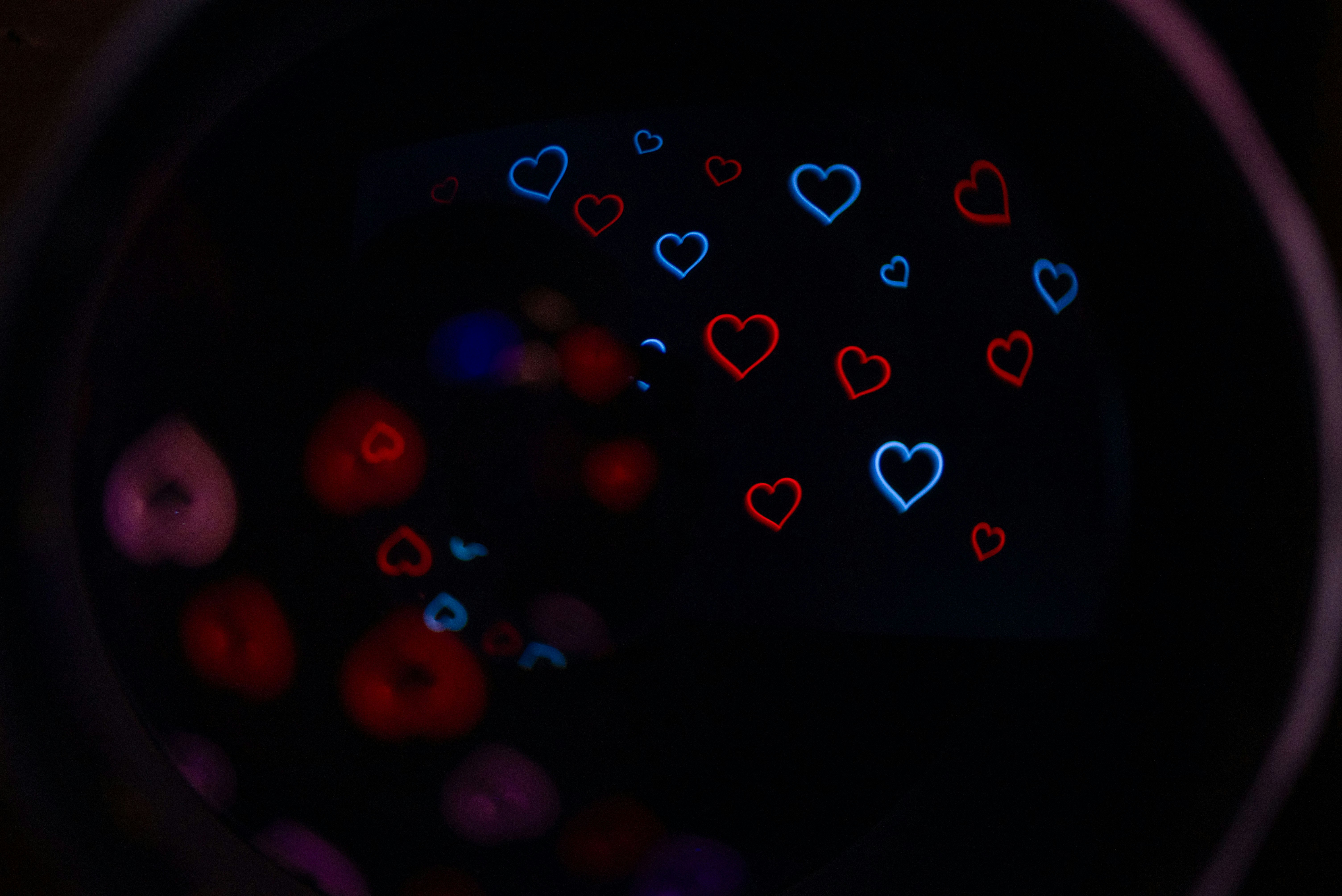 Photo by andrilliardbond