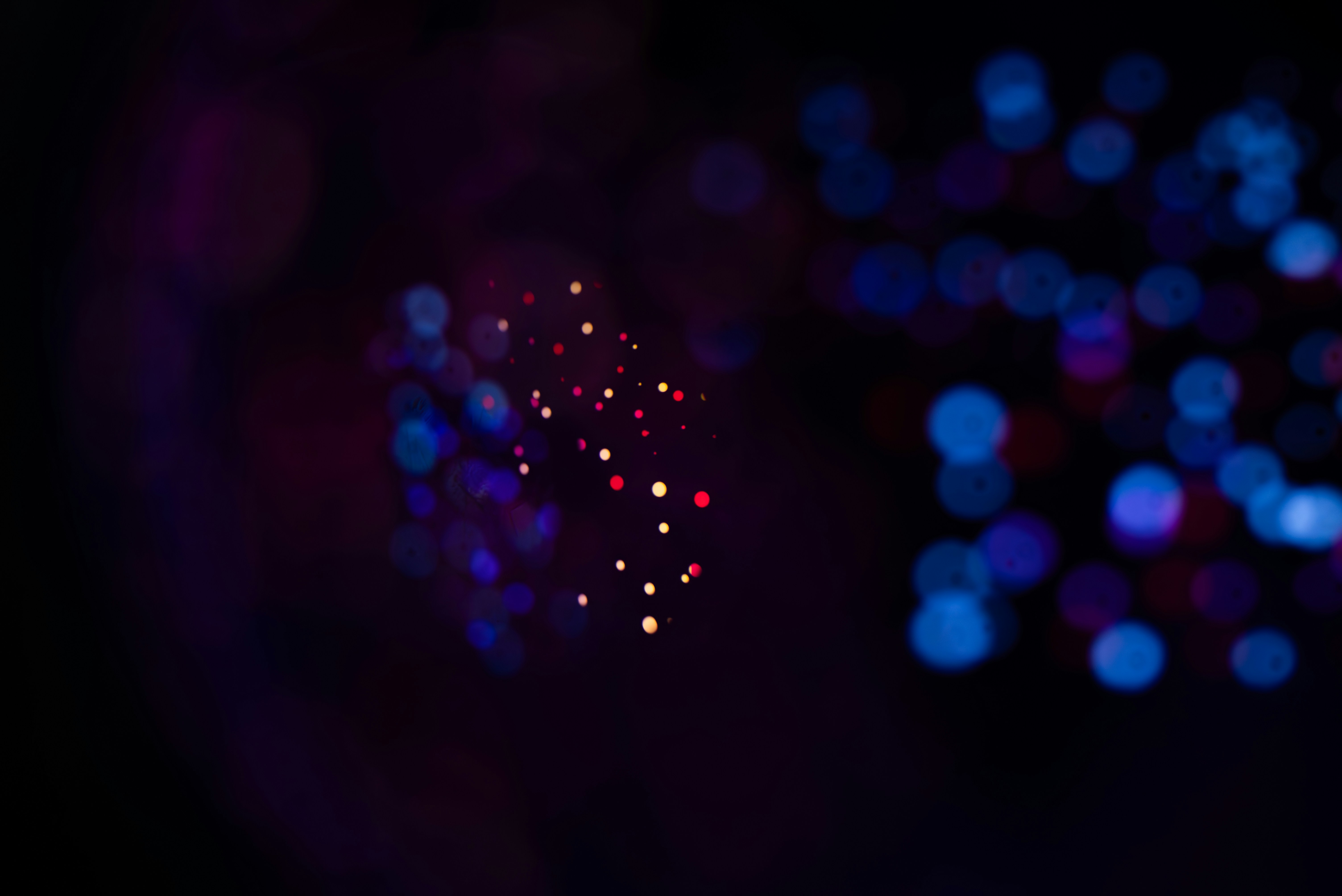 Photo by andrilliardbond