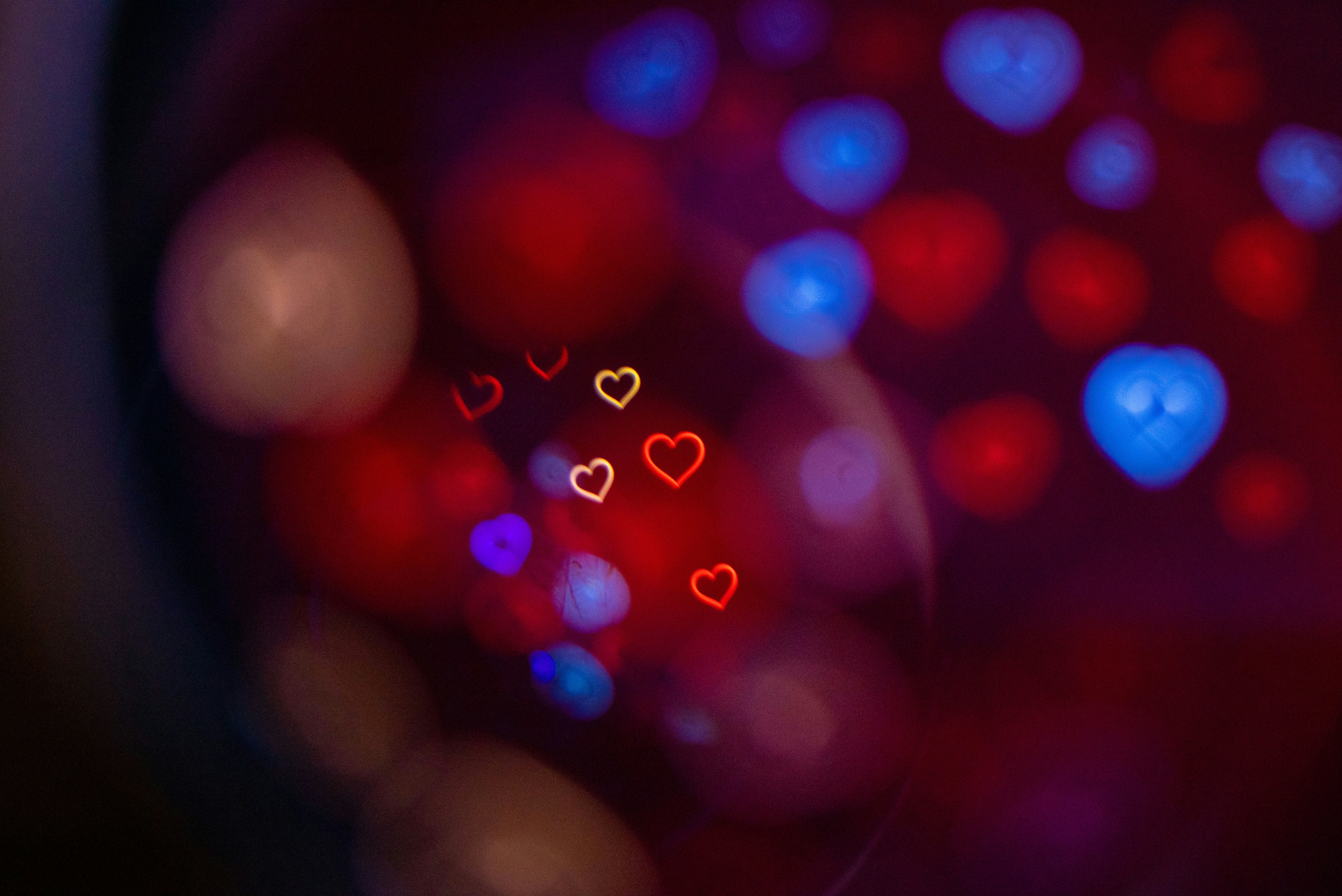 Photo by andrilliardbond