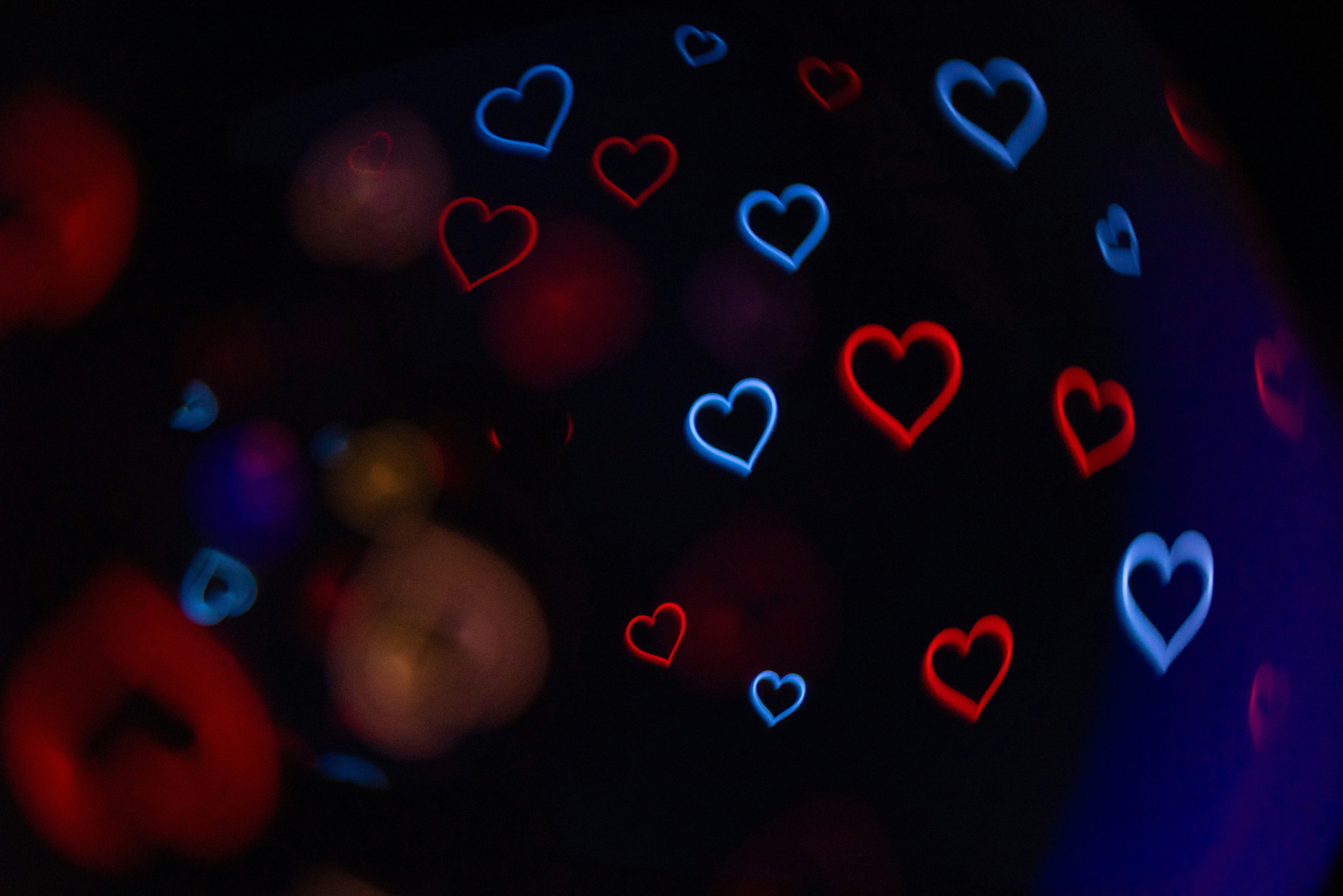 Photo by andrilliardbond