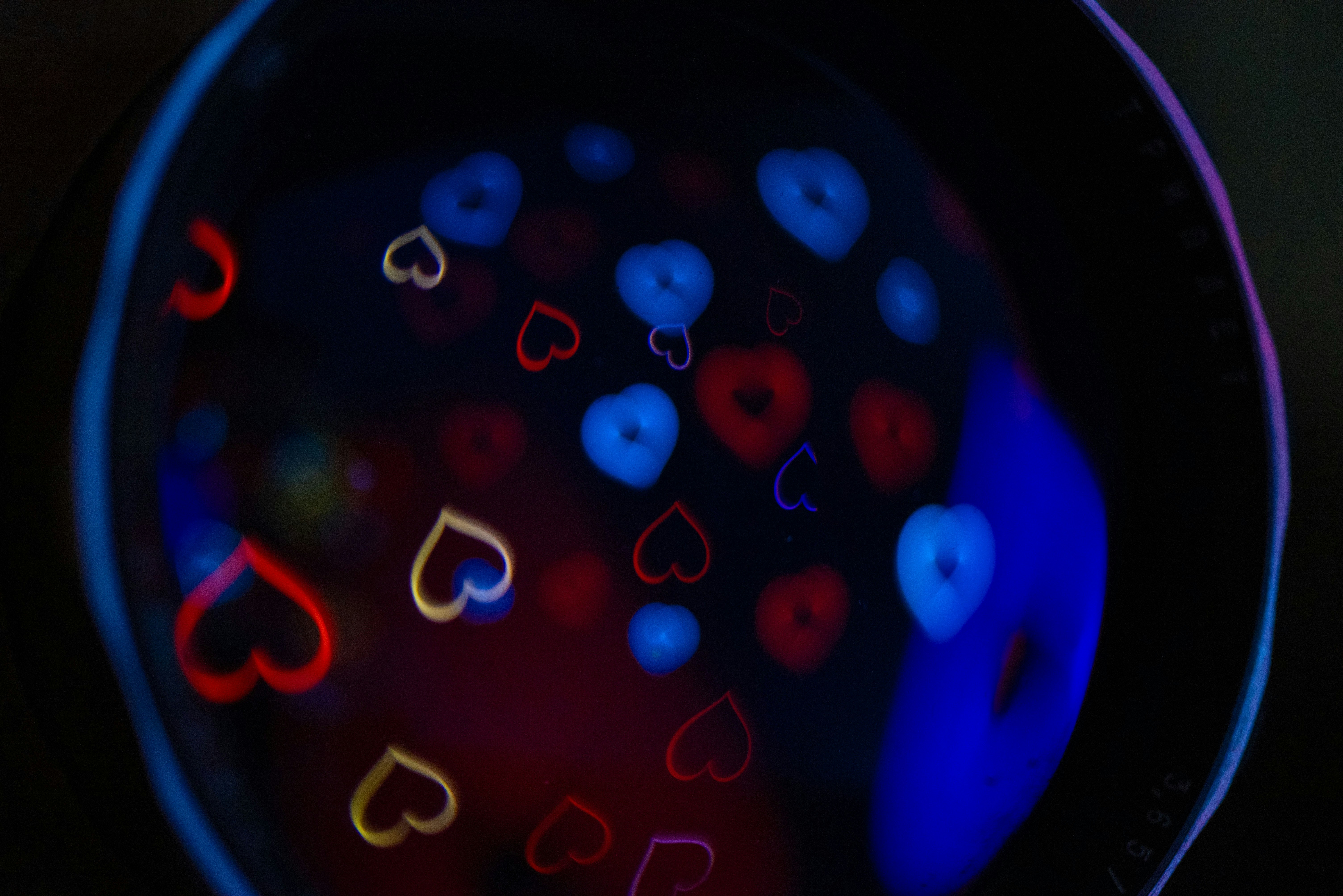 Photo by andrilliardbond