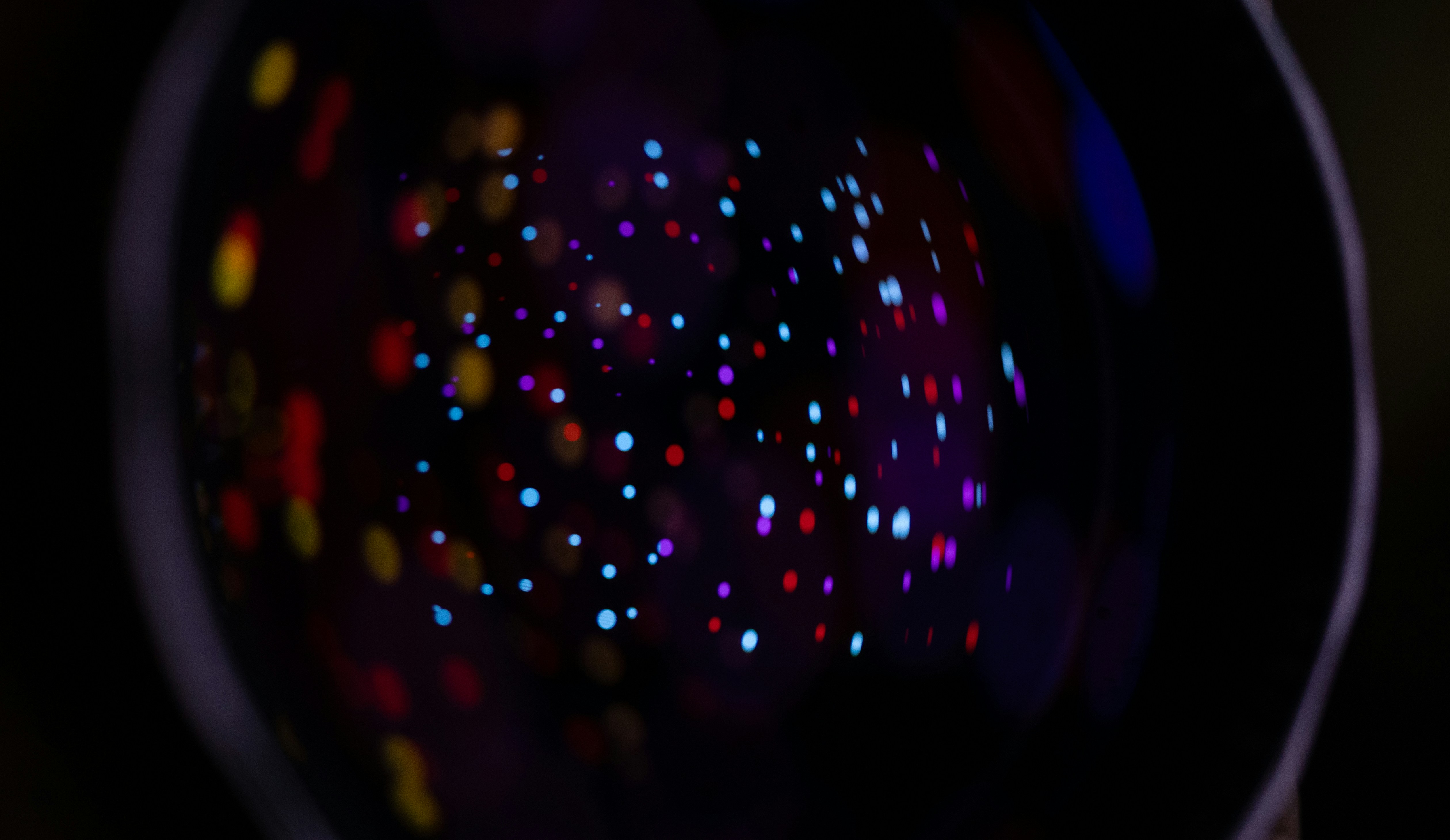 Photo by andrilliardbond