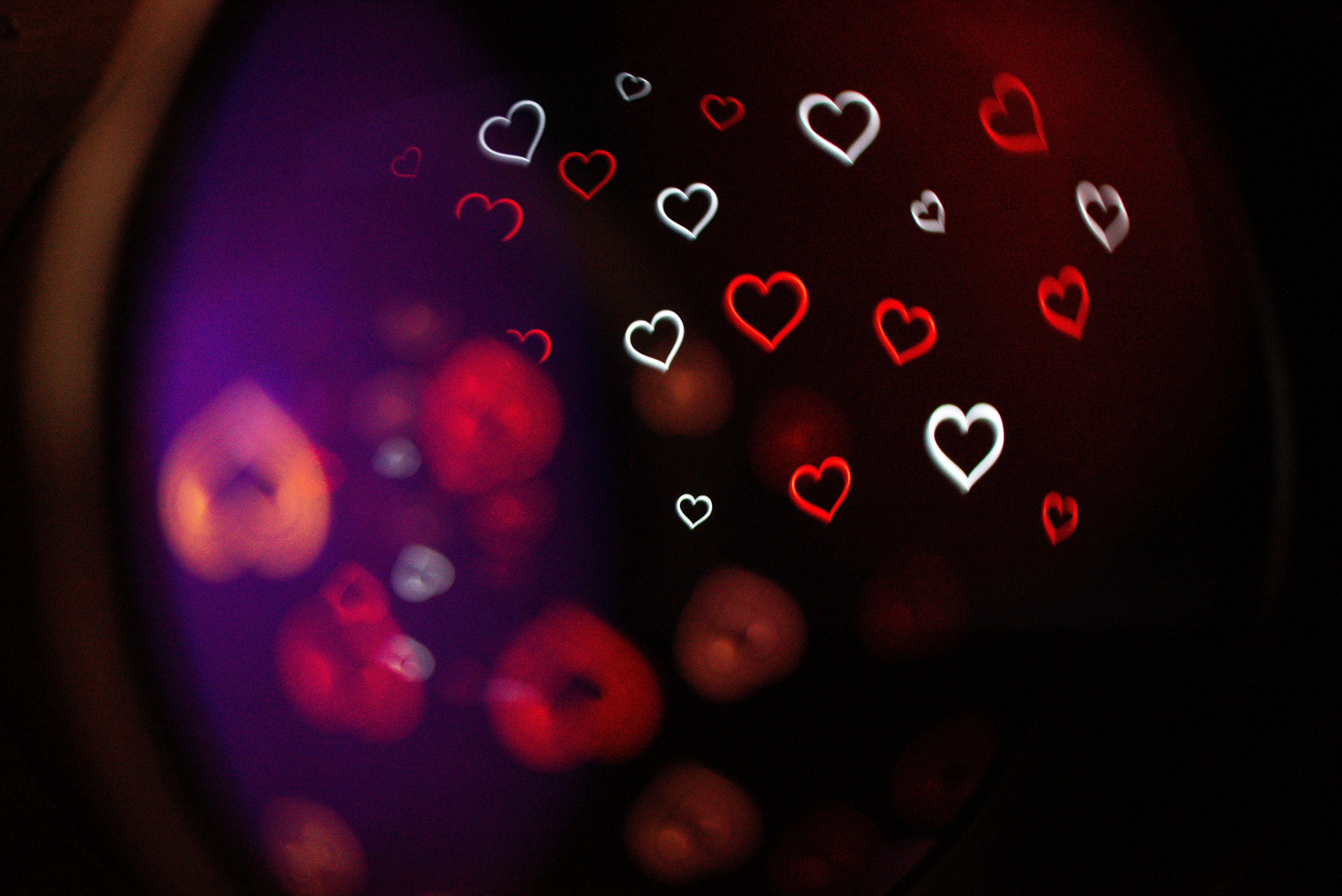 Photo by andrilliardbond