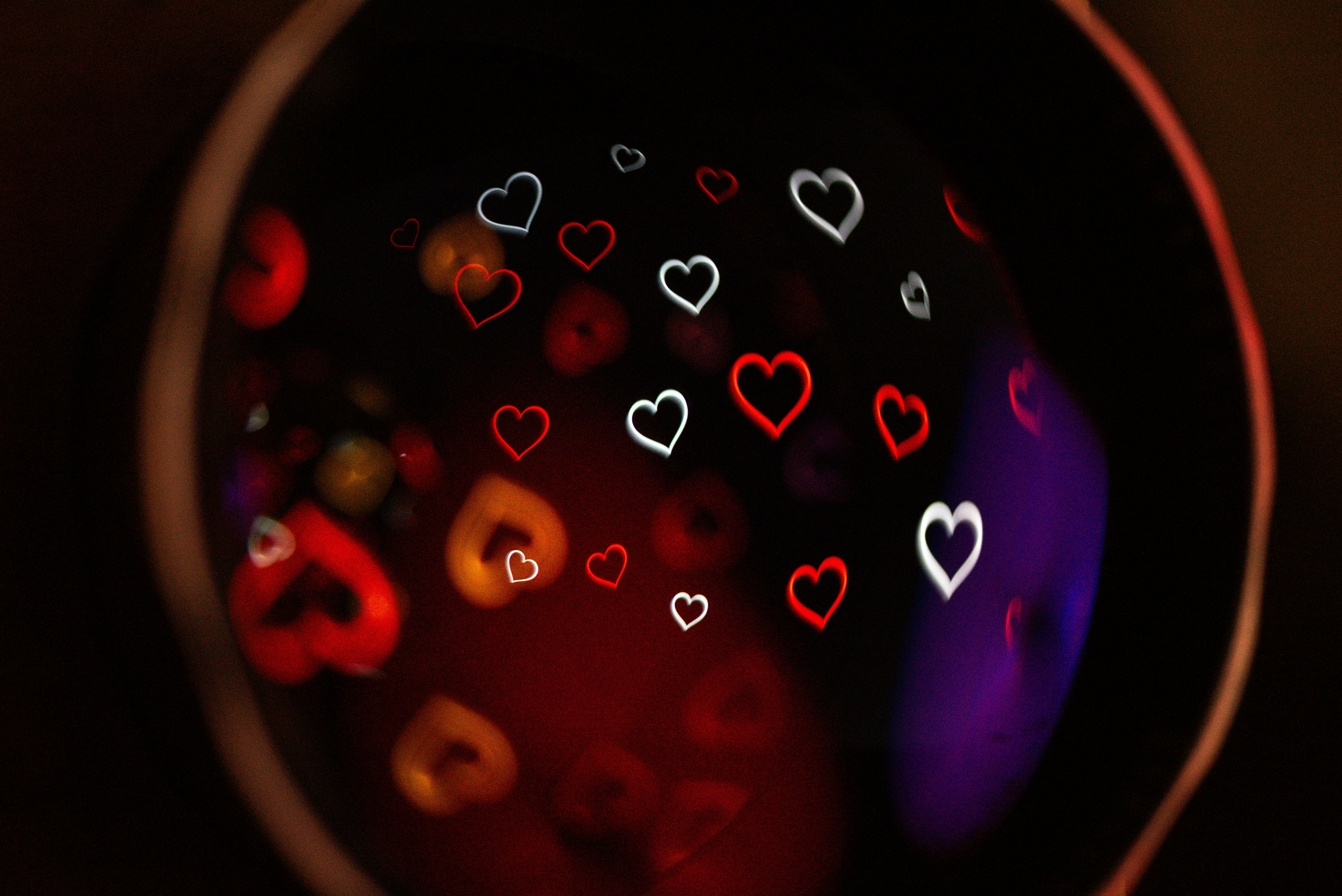 Photo by andrilliardbond