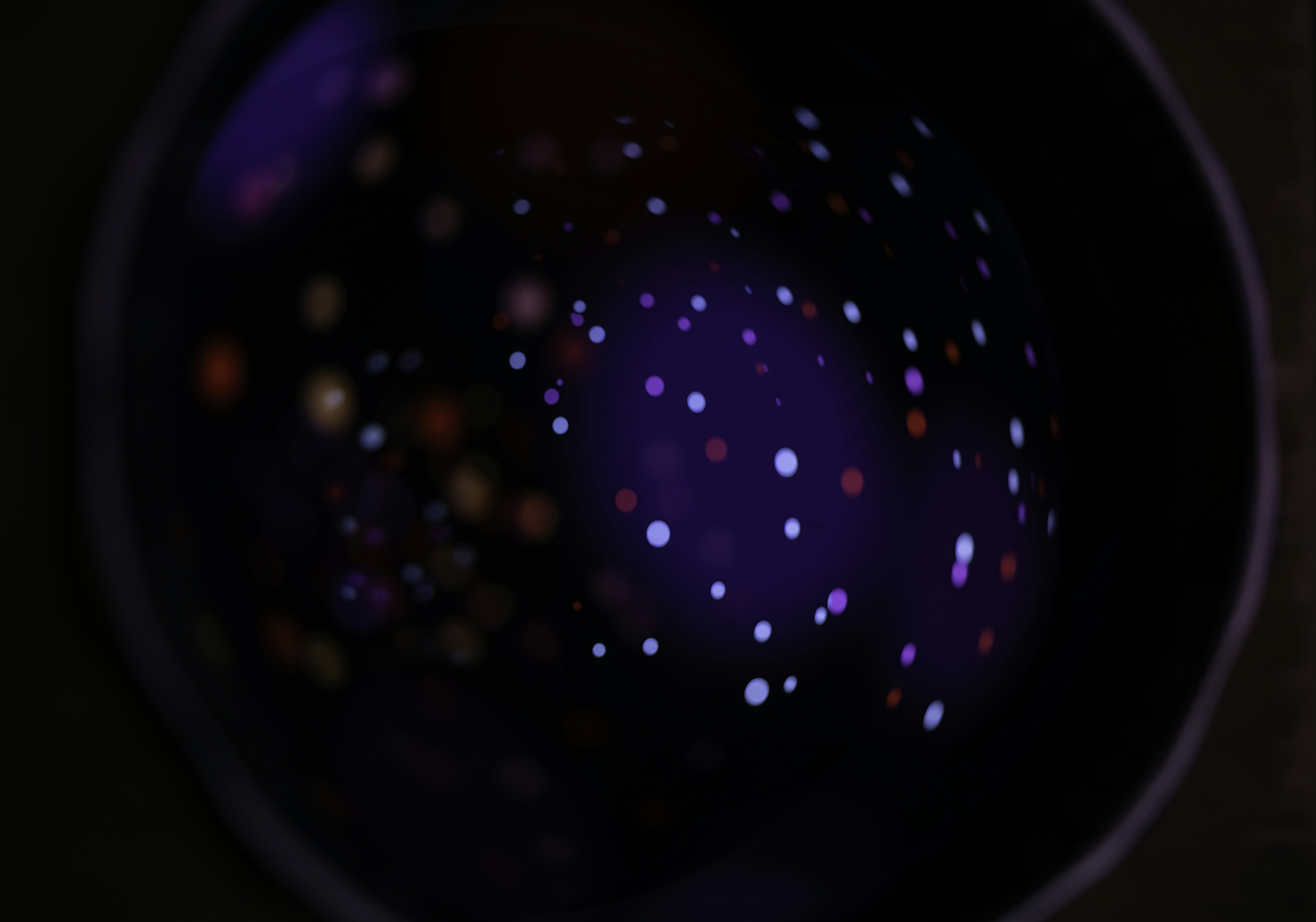 Photo by andrilliardbond