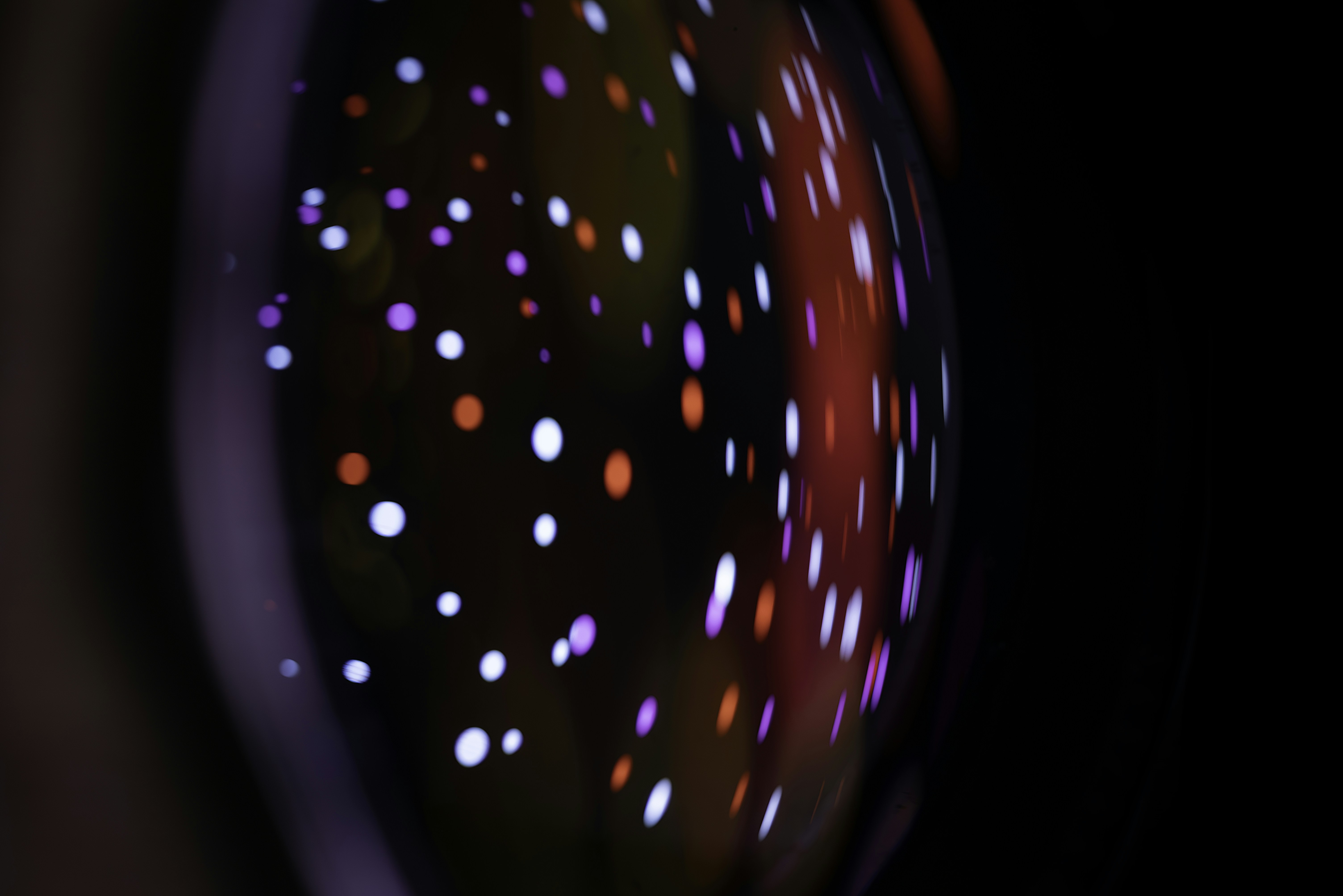 Photo by andrilliardbond