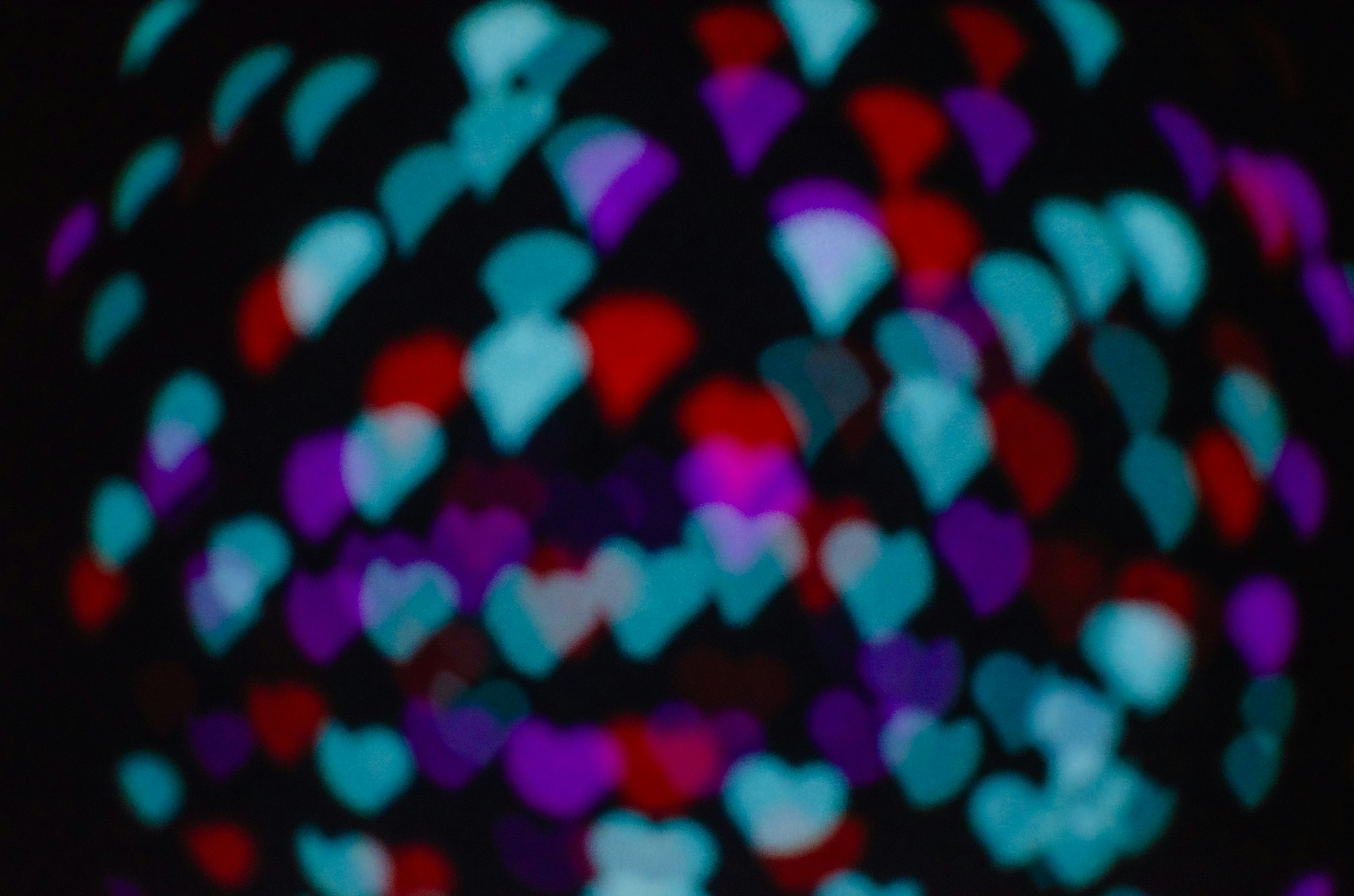 Photo by andrilliardbond