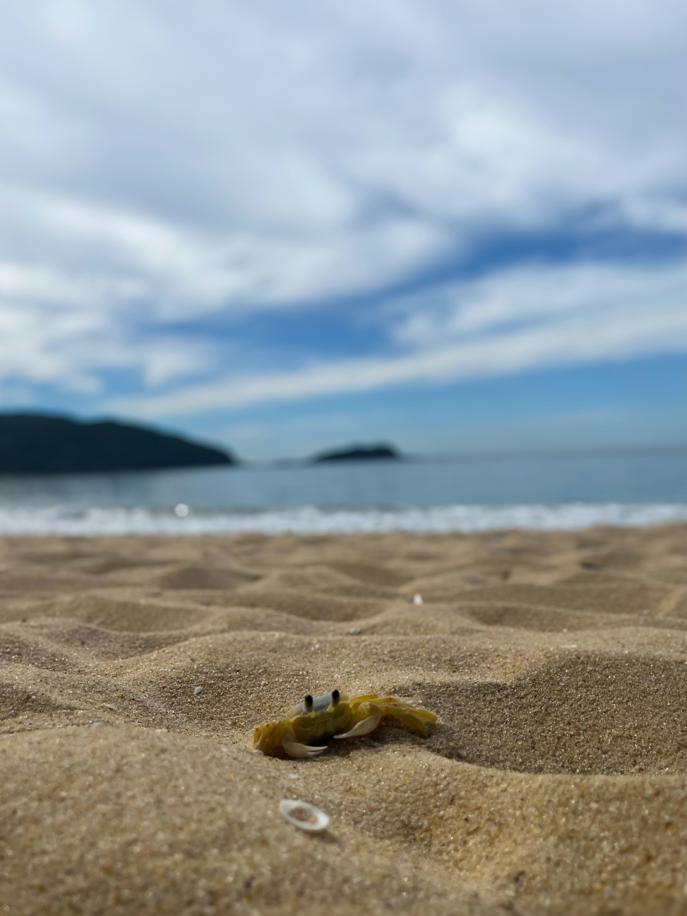 A yellow object laying on top of a sandy beach
