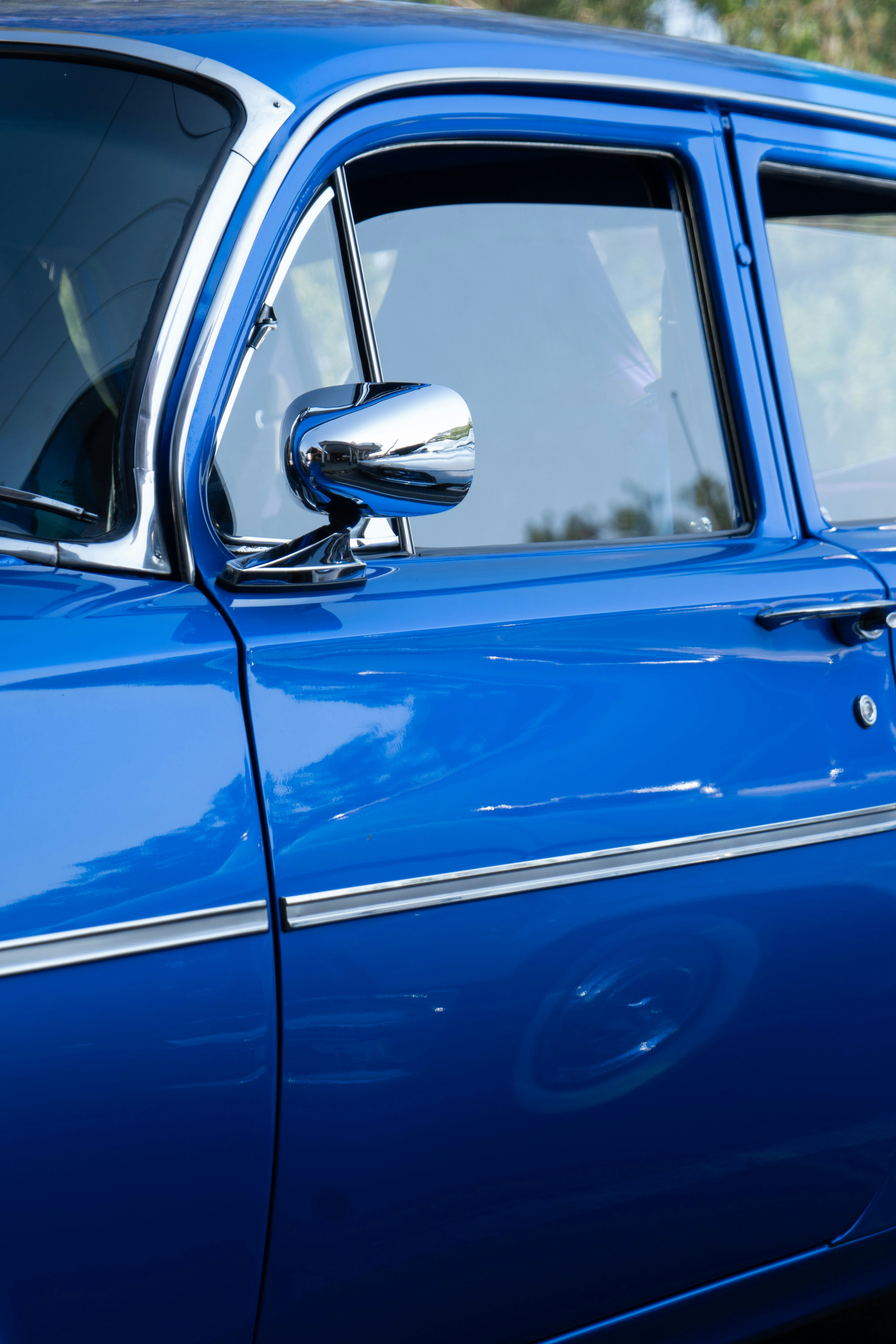 Photo by matonthepaddock