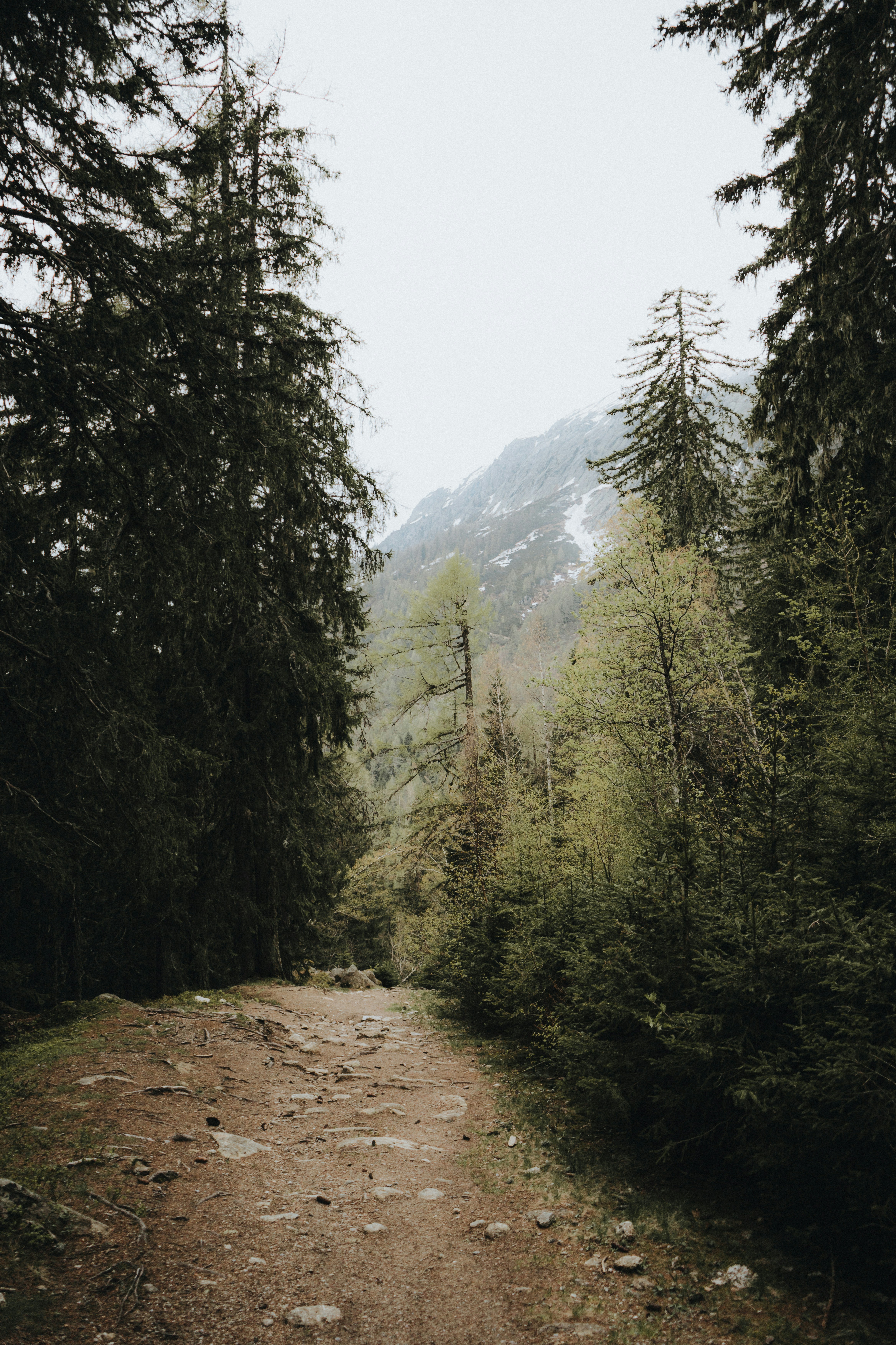 Photo by martin_masson