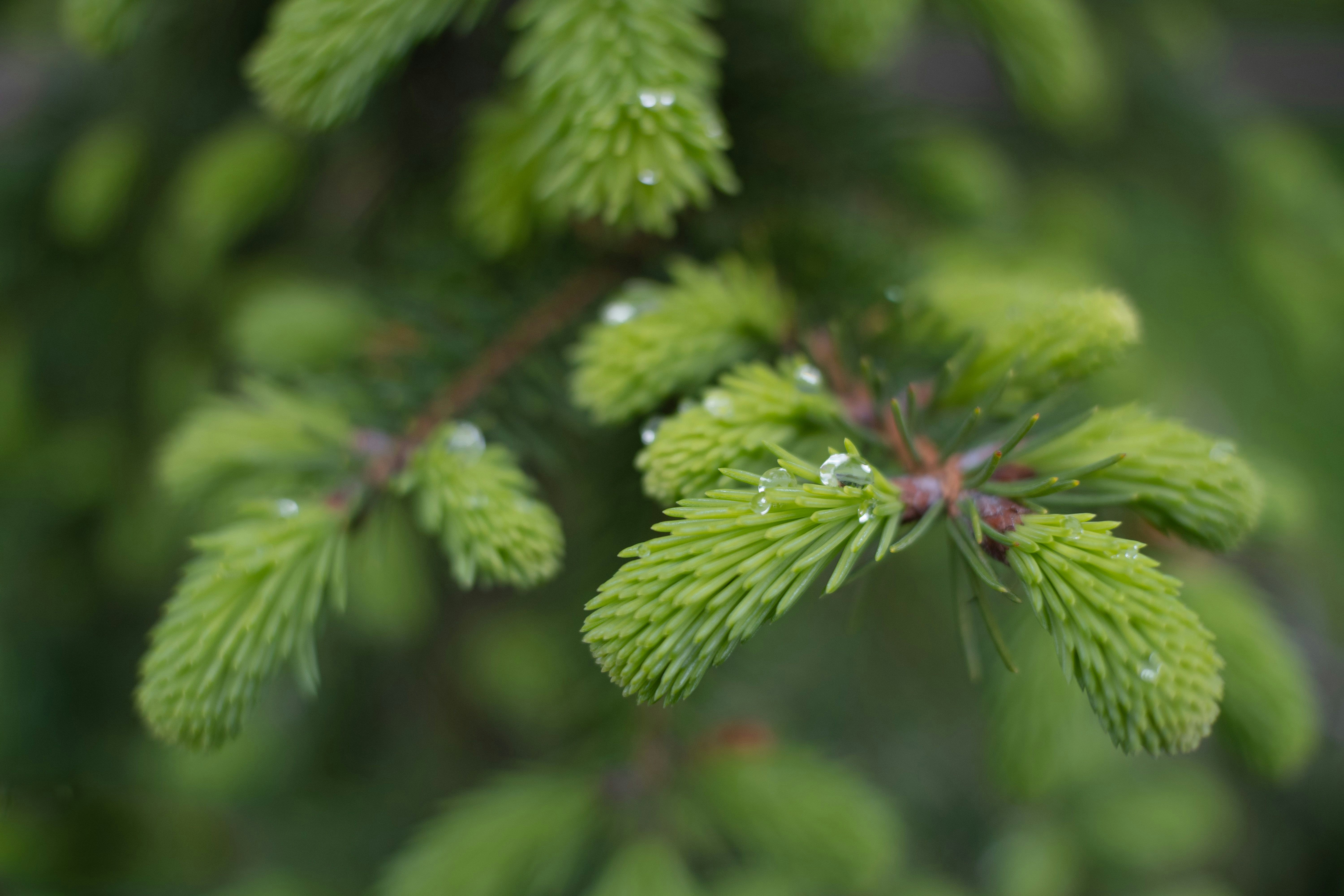 Photo by sevencolors