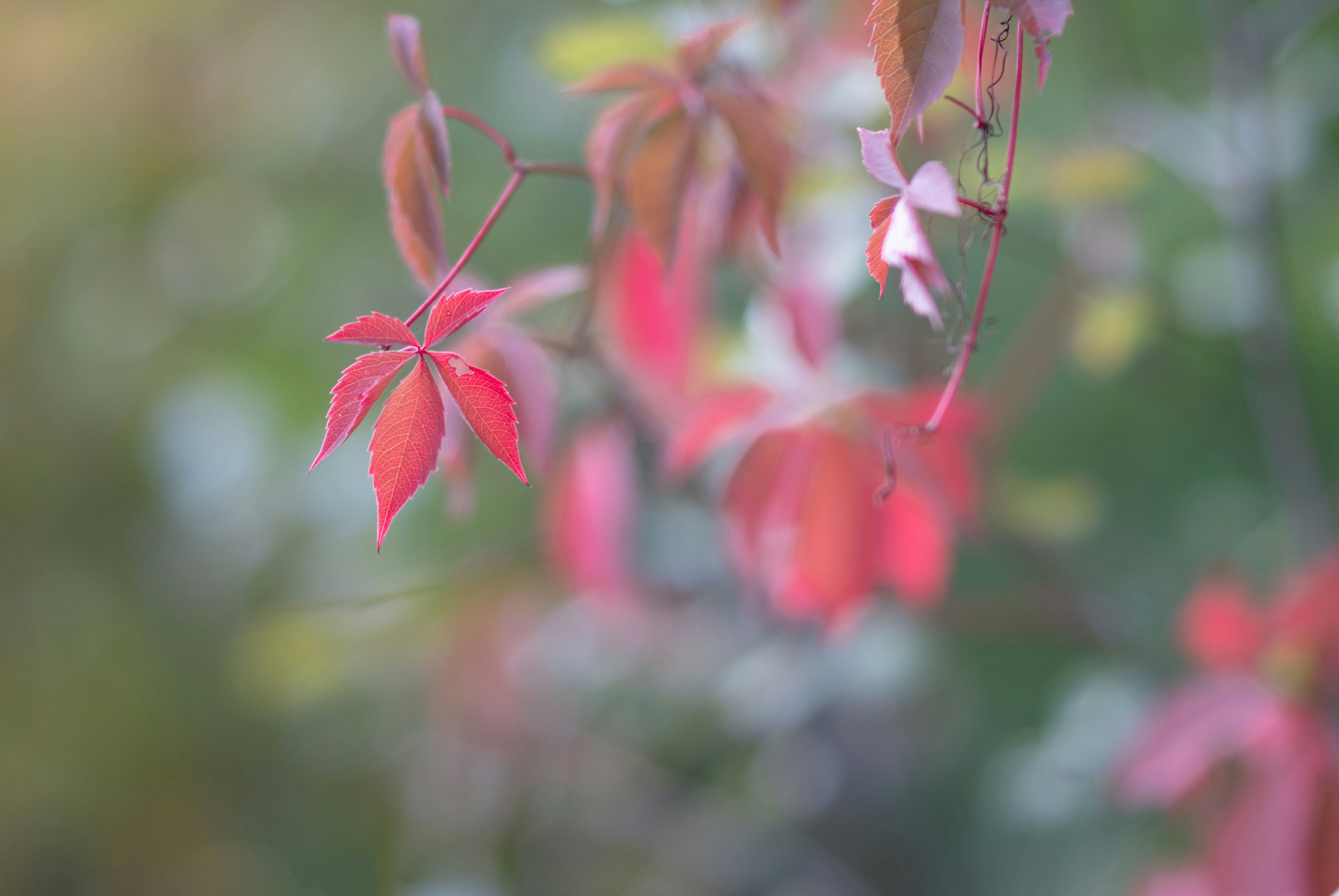 Photo by sevencolors