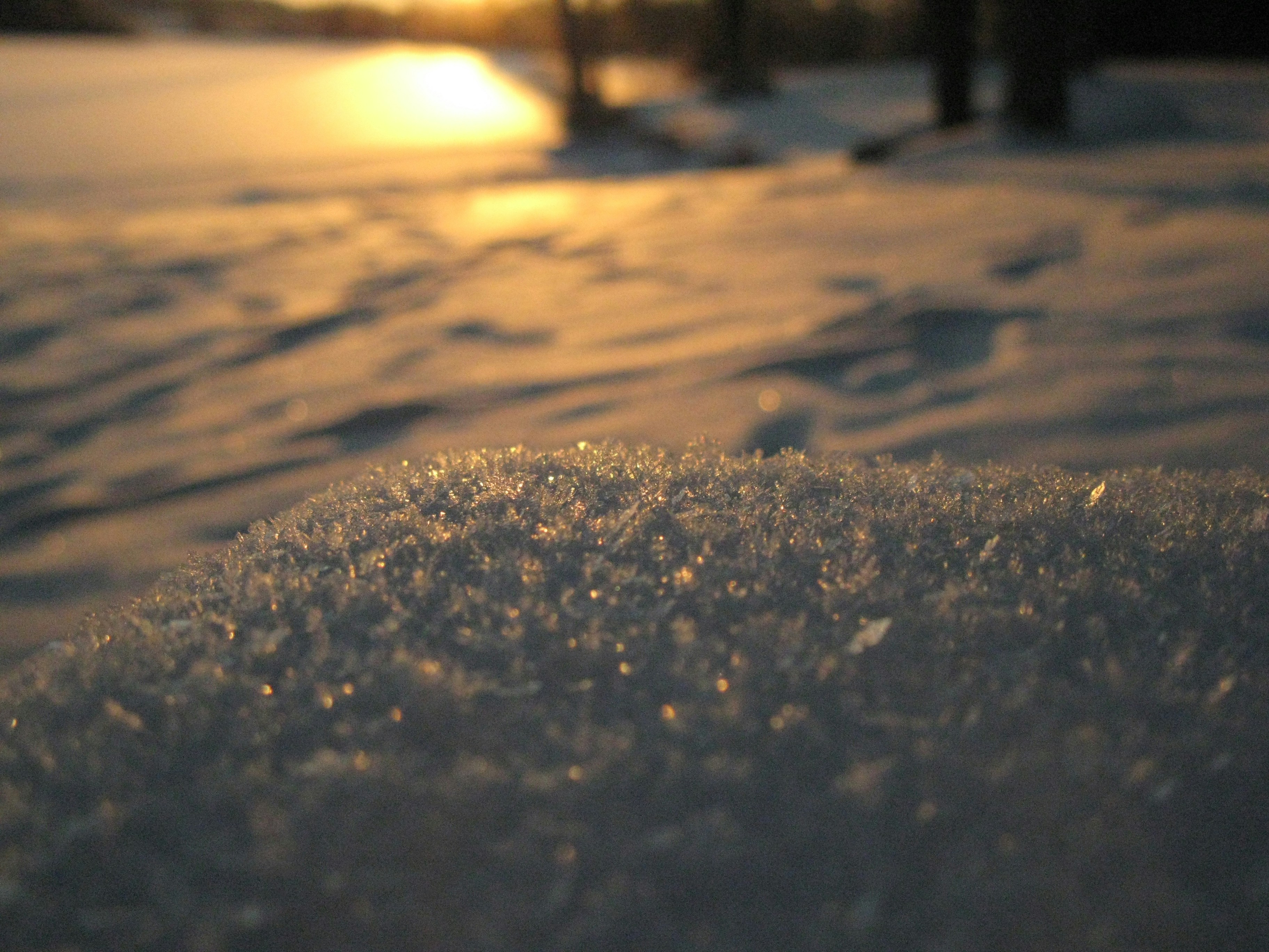 The sun is setting over a snowy field