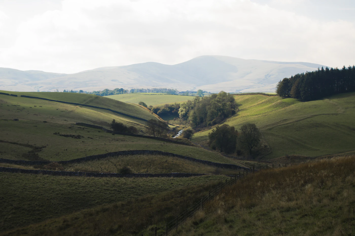 Illustrative countryside view photo