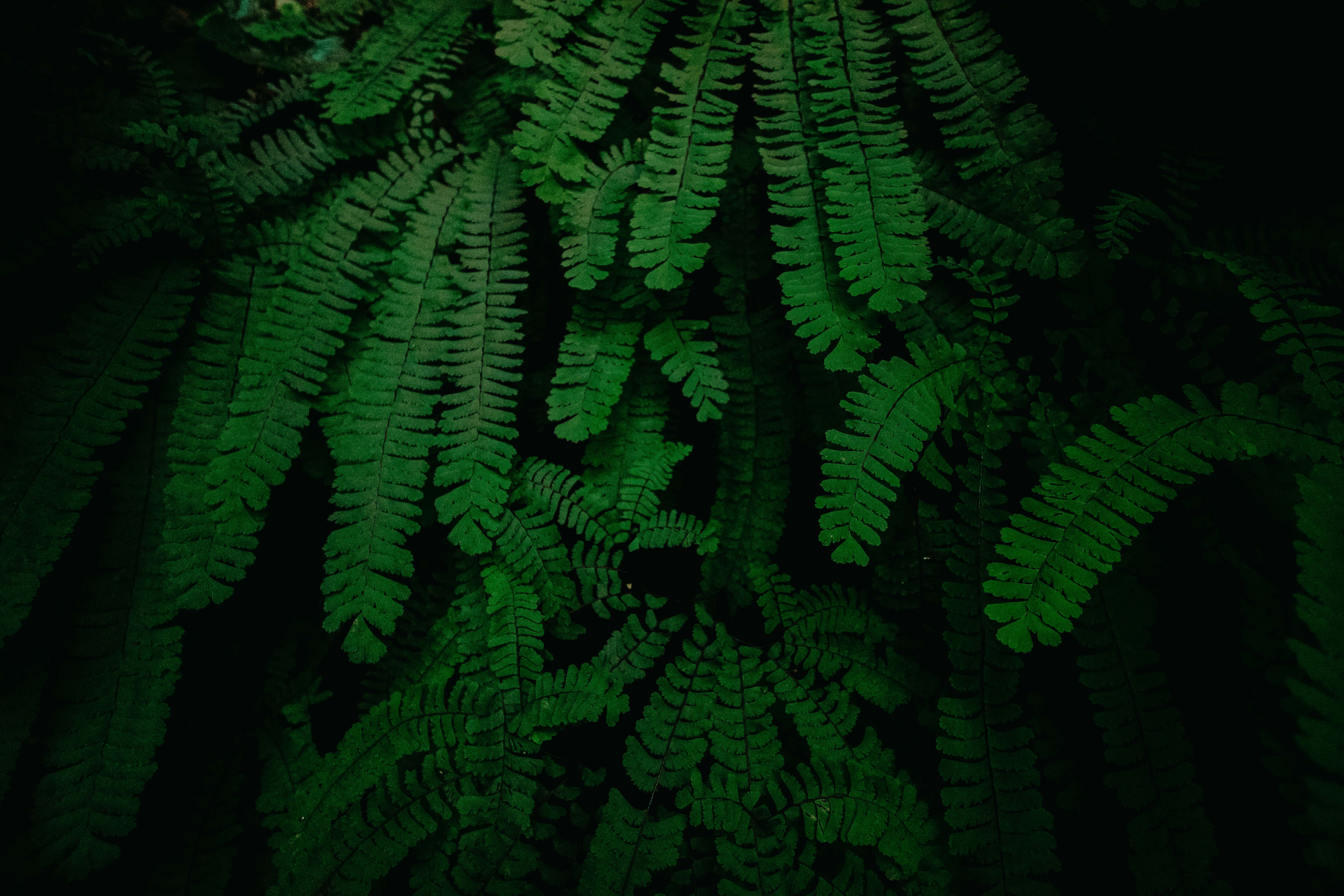 The Conscious List #137