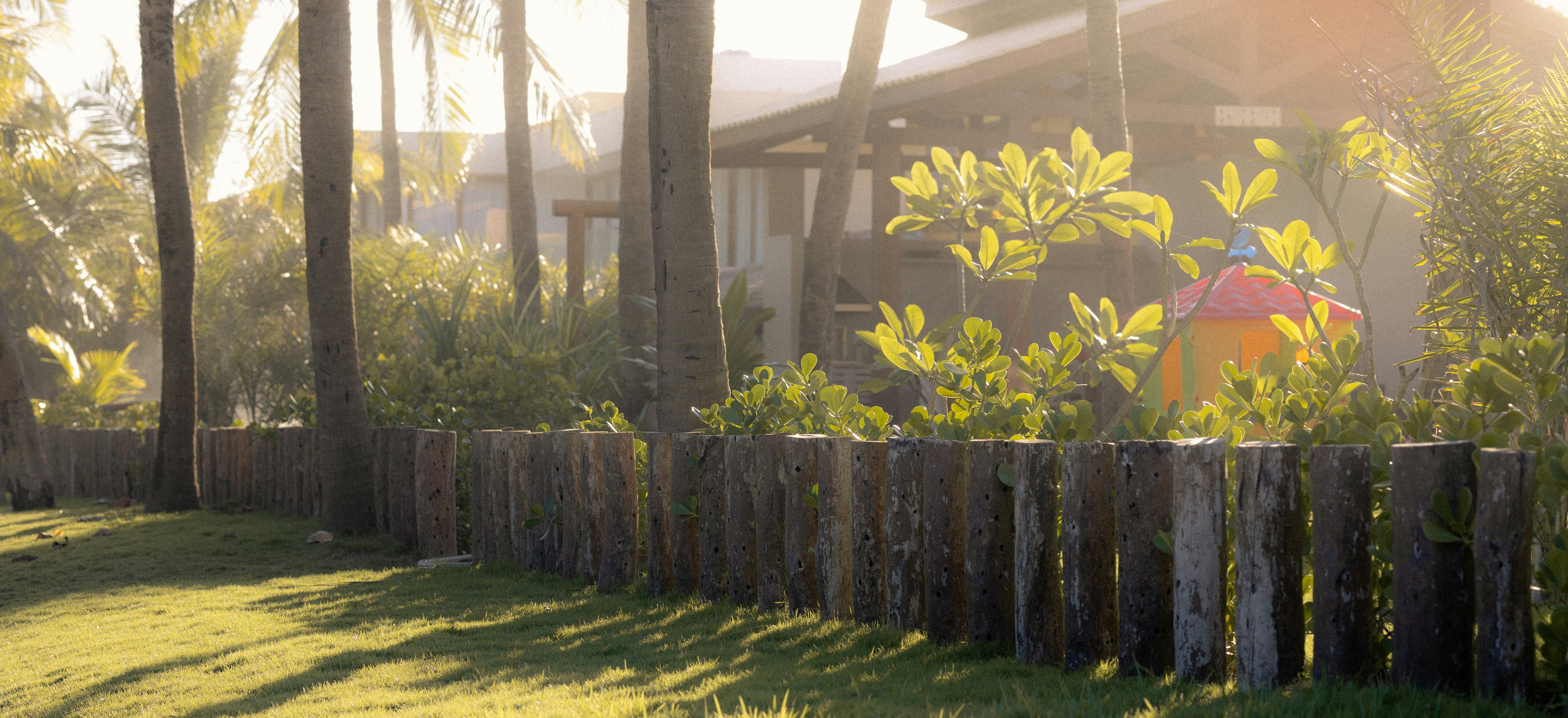 A yellow fire hydrant sitting in the middle of a lush green field