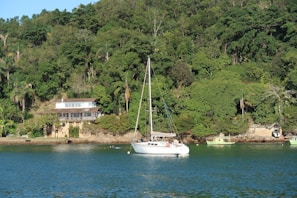 A sailboat in a body of water with a house in the background