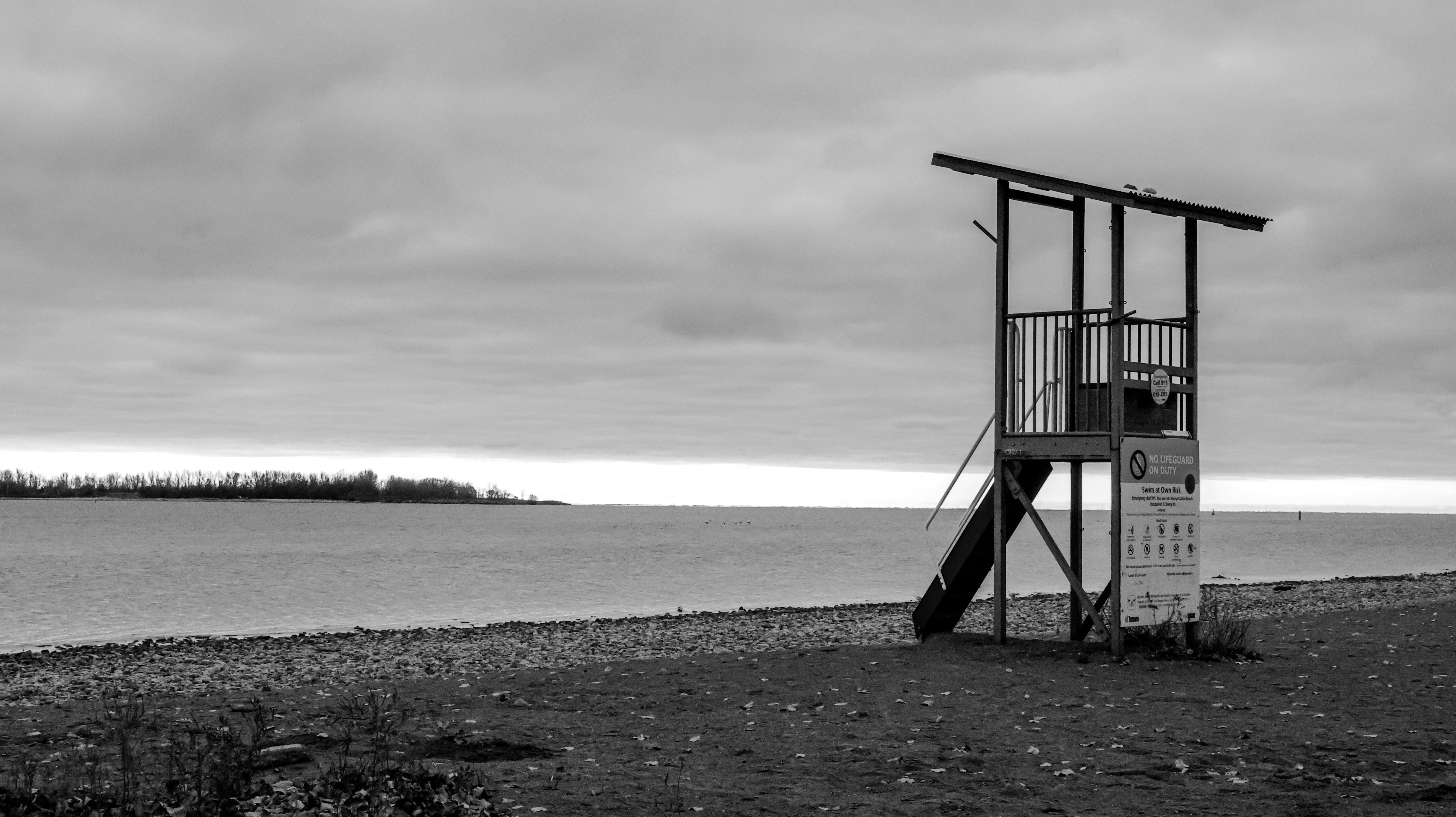 Photo by bruce_great