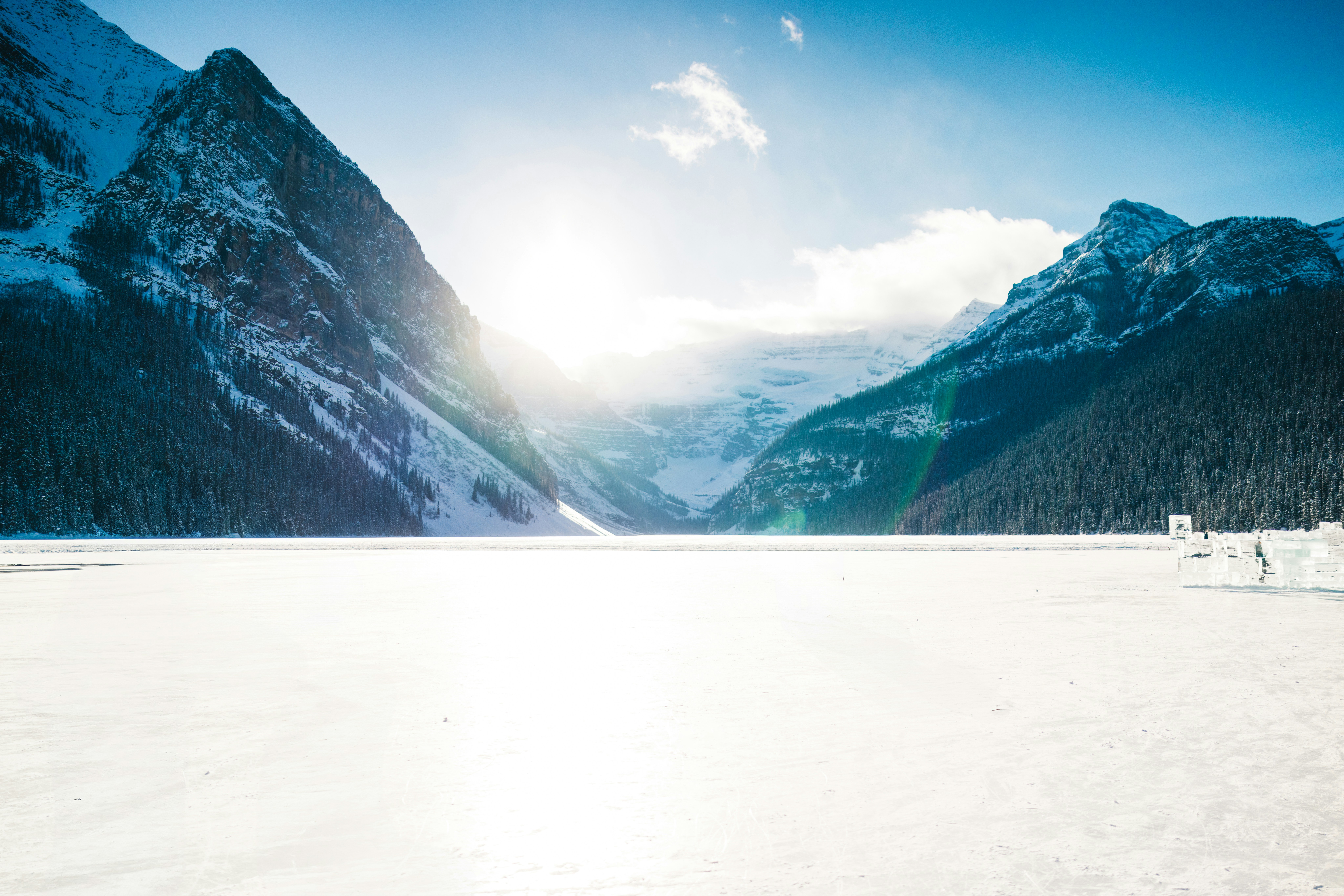 신용도 조회 시 회사명 노출 방지 설정: 금융보호의 새로운 패러다임